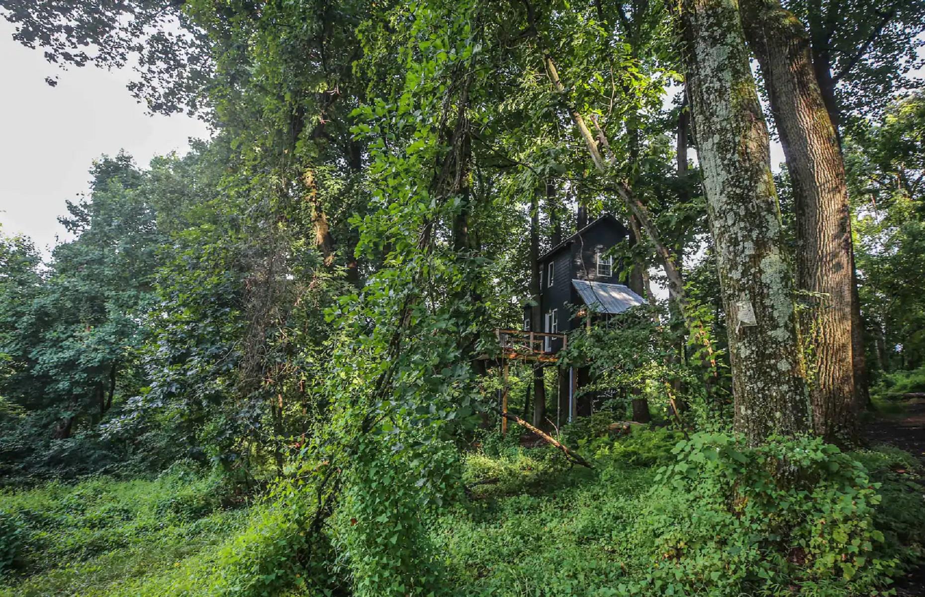 Casa del Árbol en el Cielo, Virginia, Estados Unidos