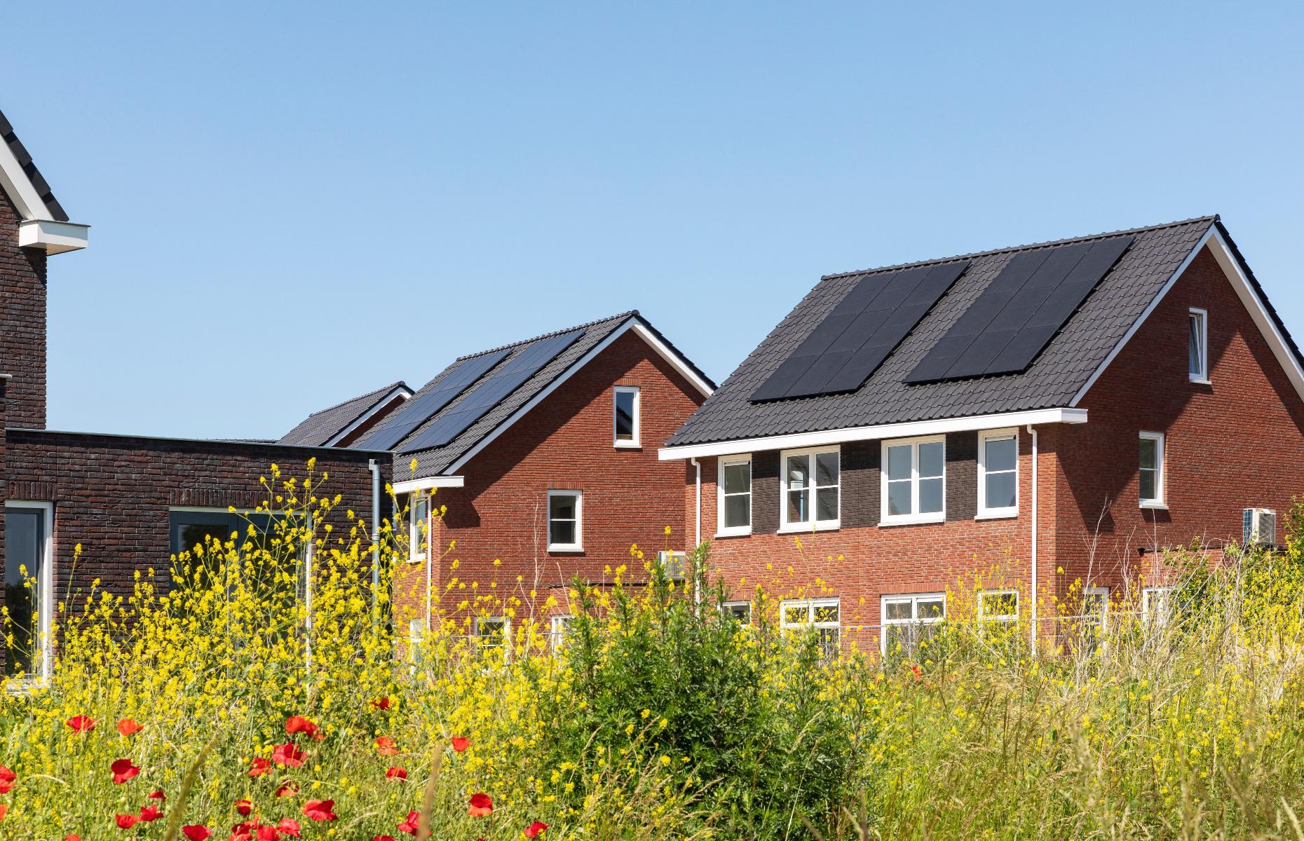 Sell solar power back to the grid