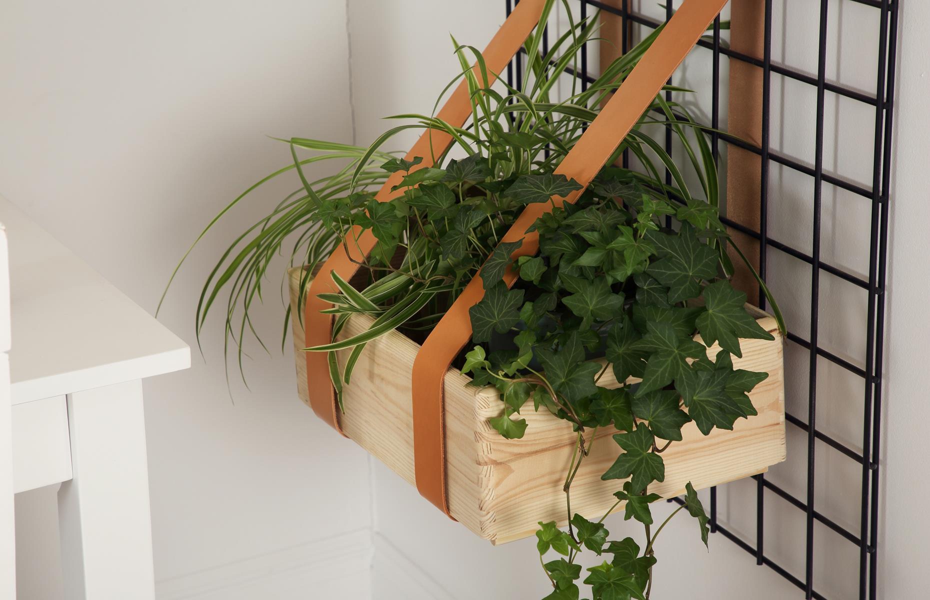 Make your own herb planters 