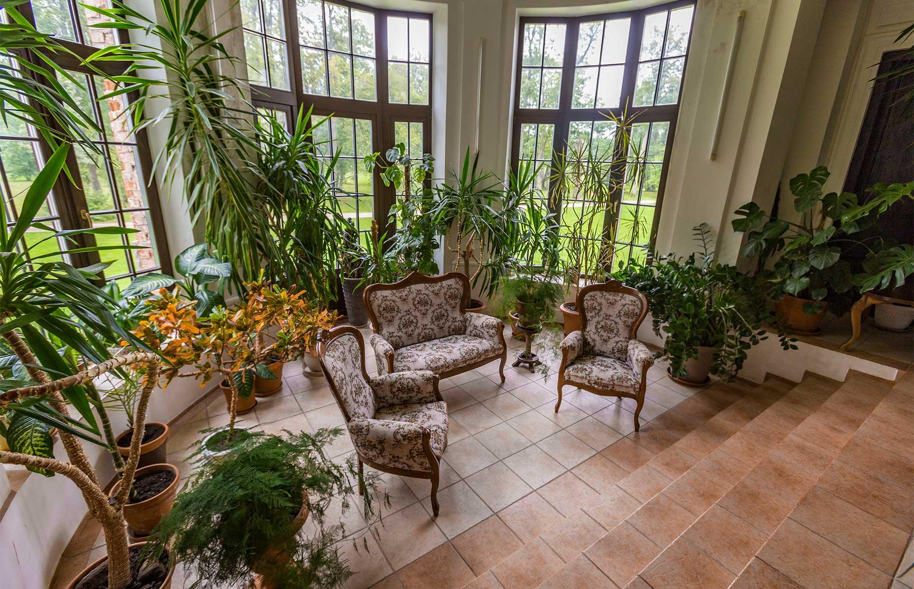 Conservatories: 1500s