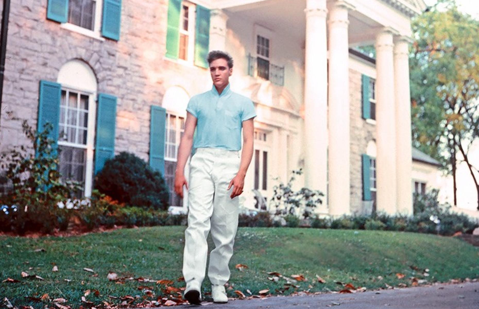 Plot to steal Graceland