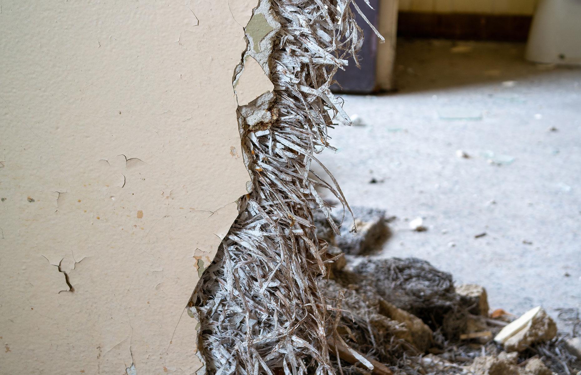 Asbestos poisoning