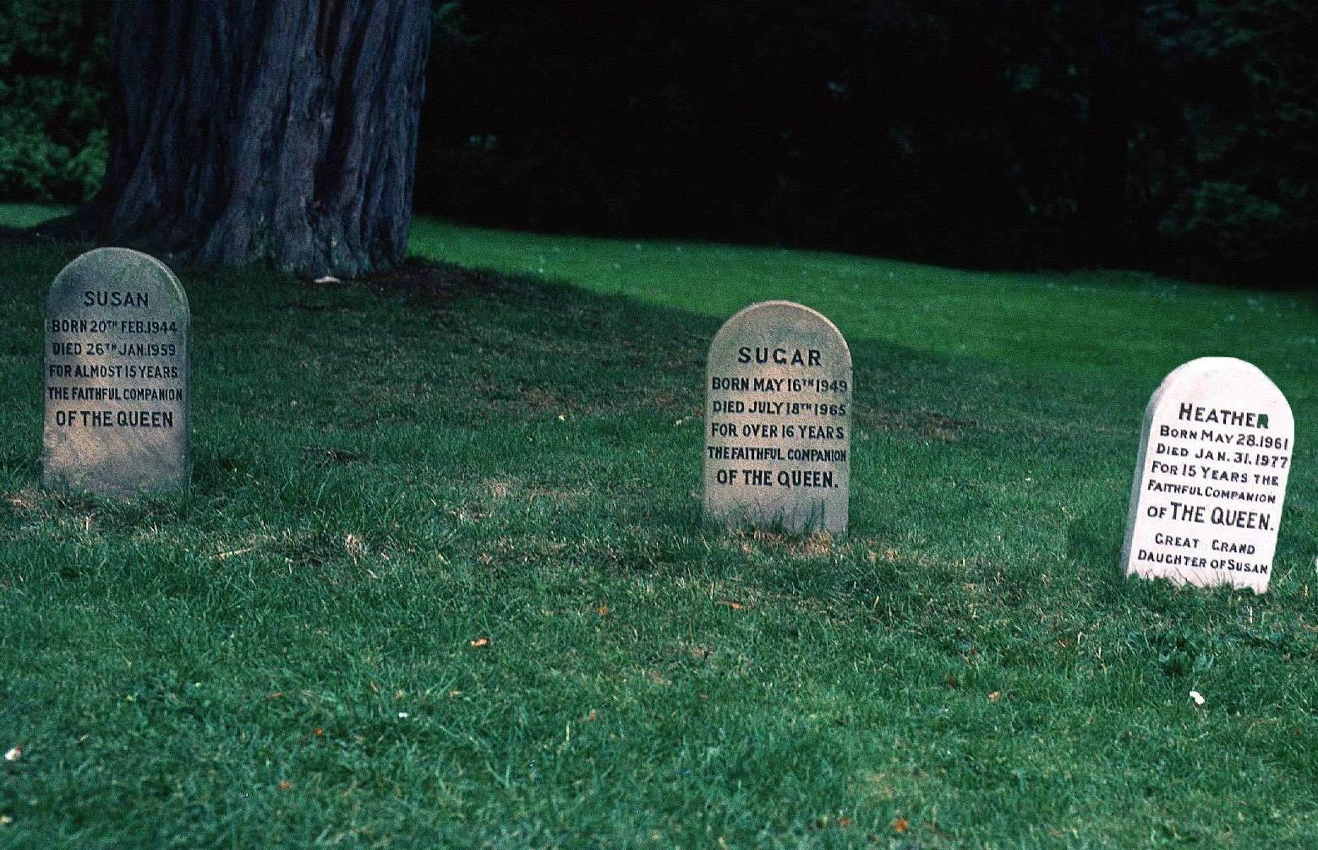 The royal pet cemetery