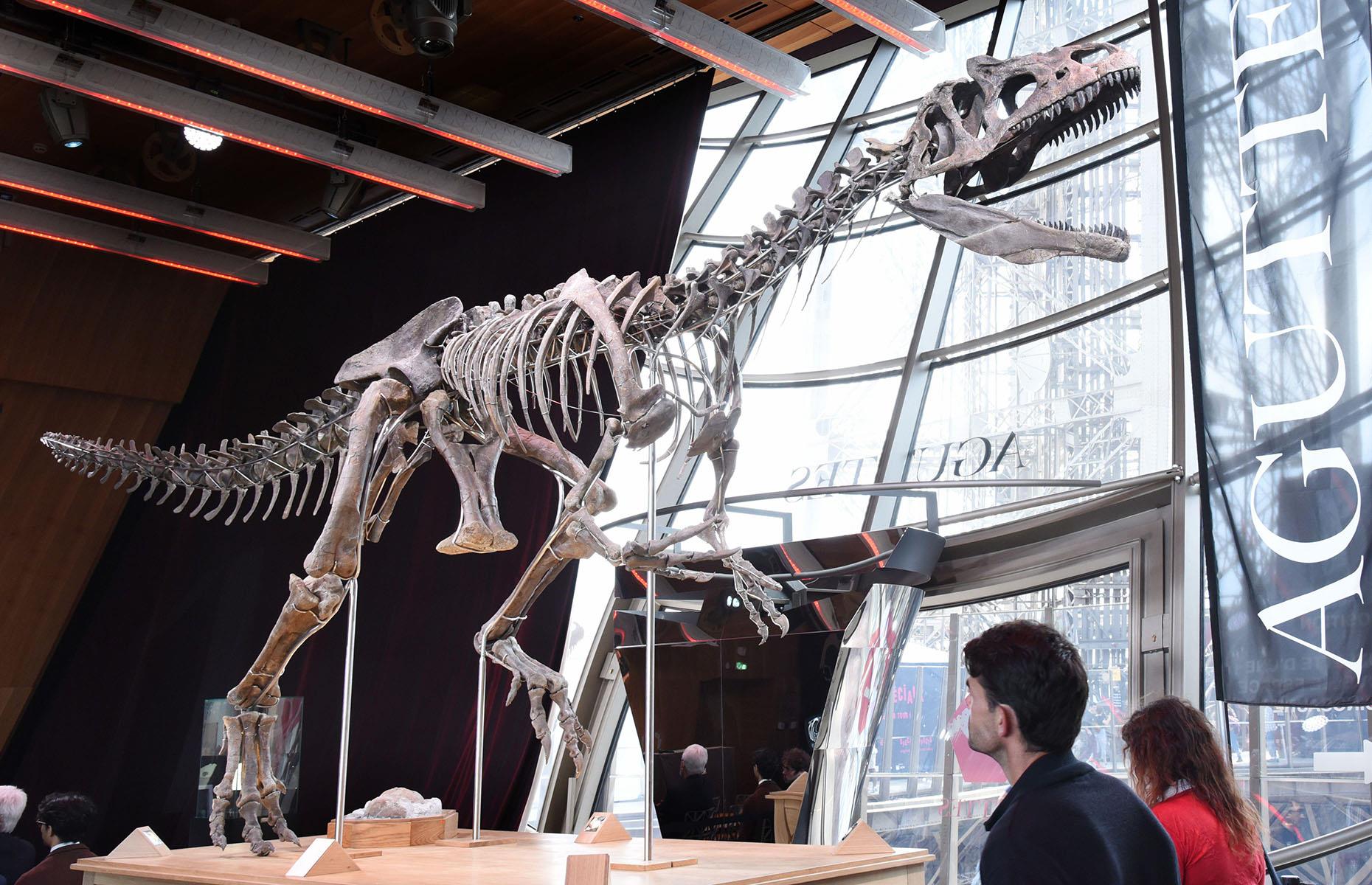 The mystery dinosaur: $2.7 million (£2.1m)