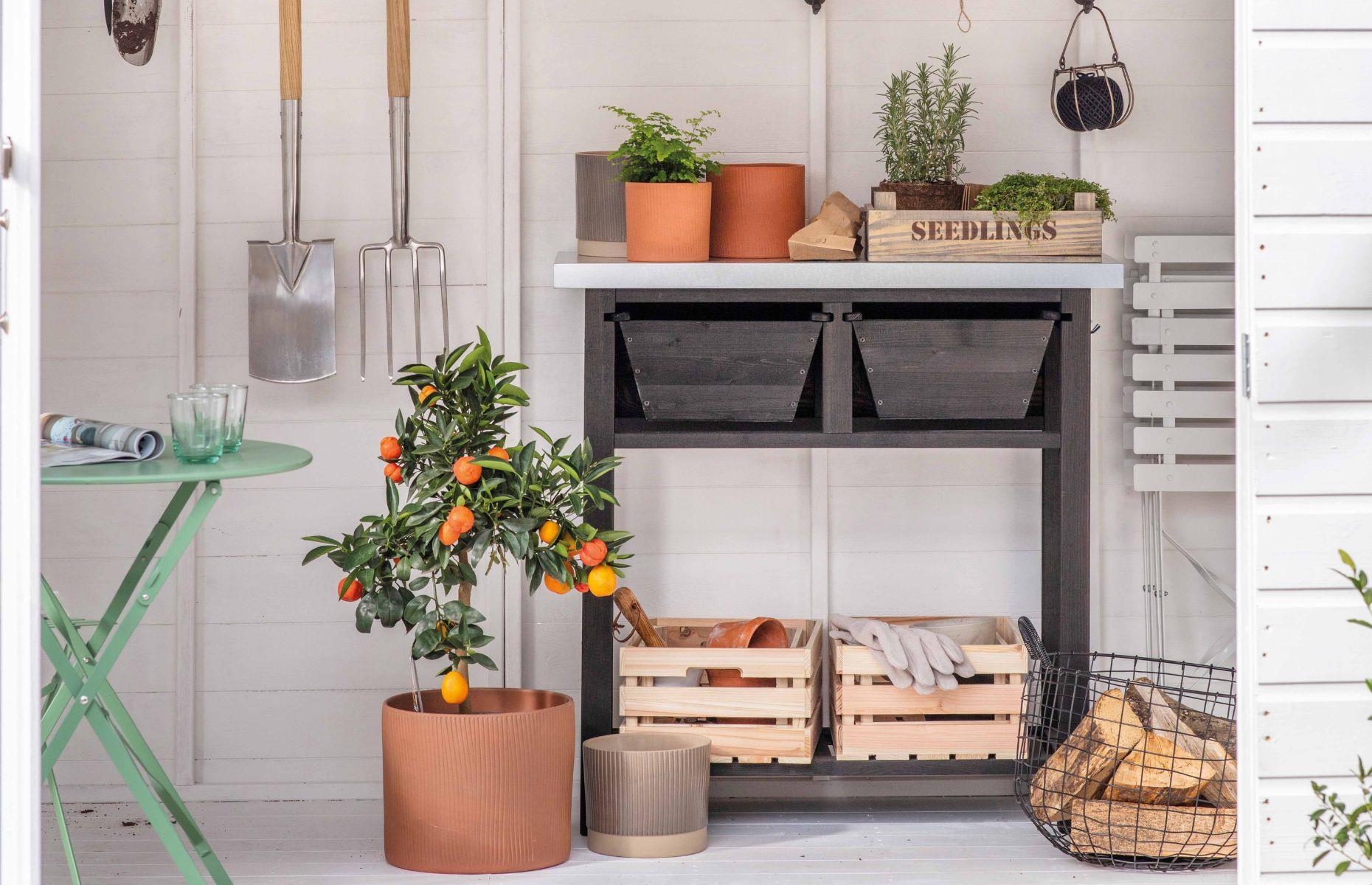 Forgetting a potting table