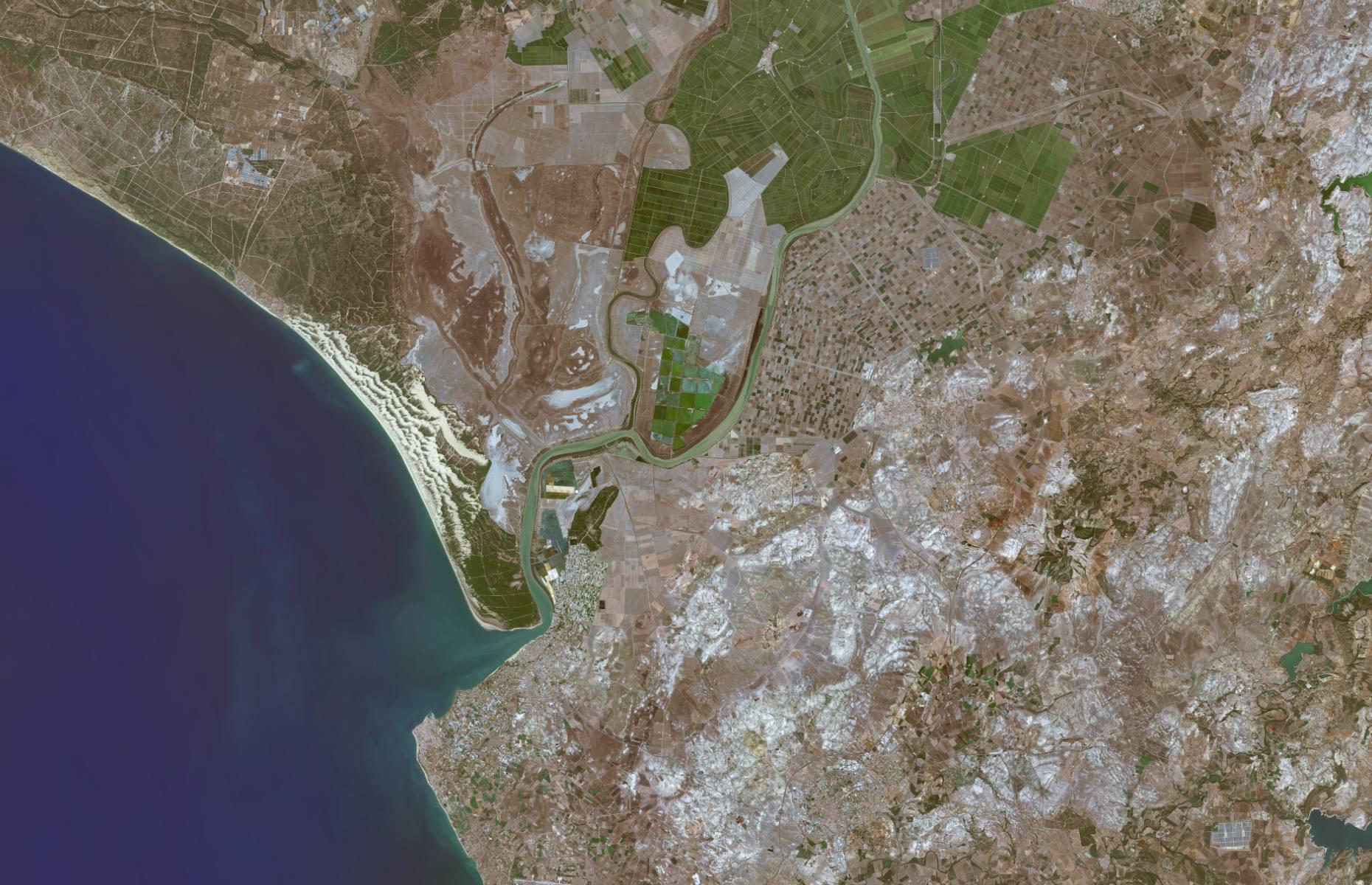 Doñana National Park, Andalucía, Spain