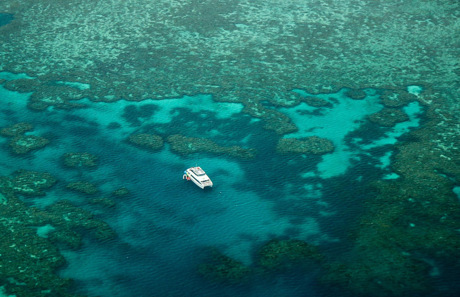 11. Spot the 'Great Eight', Great Barrier Reef, Queensland