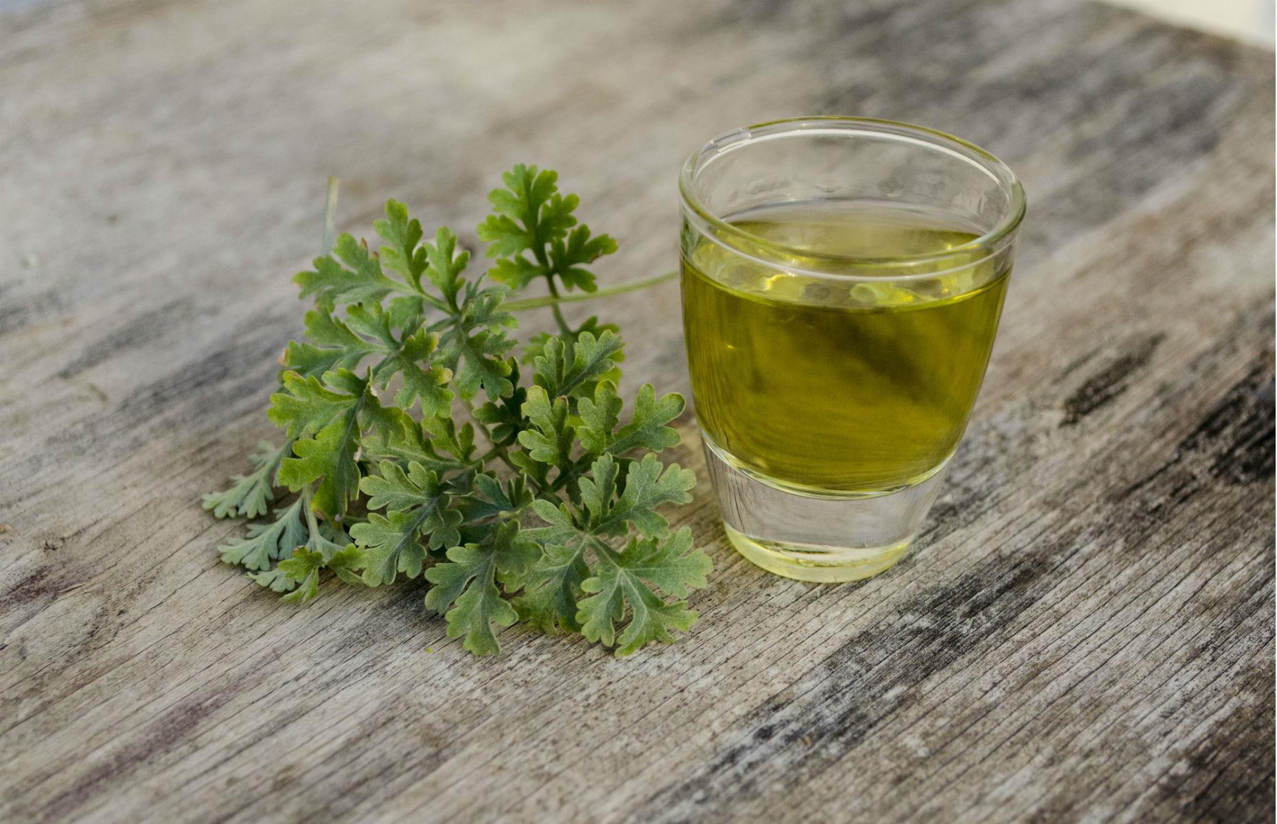 Absinthe