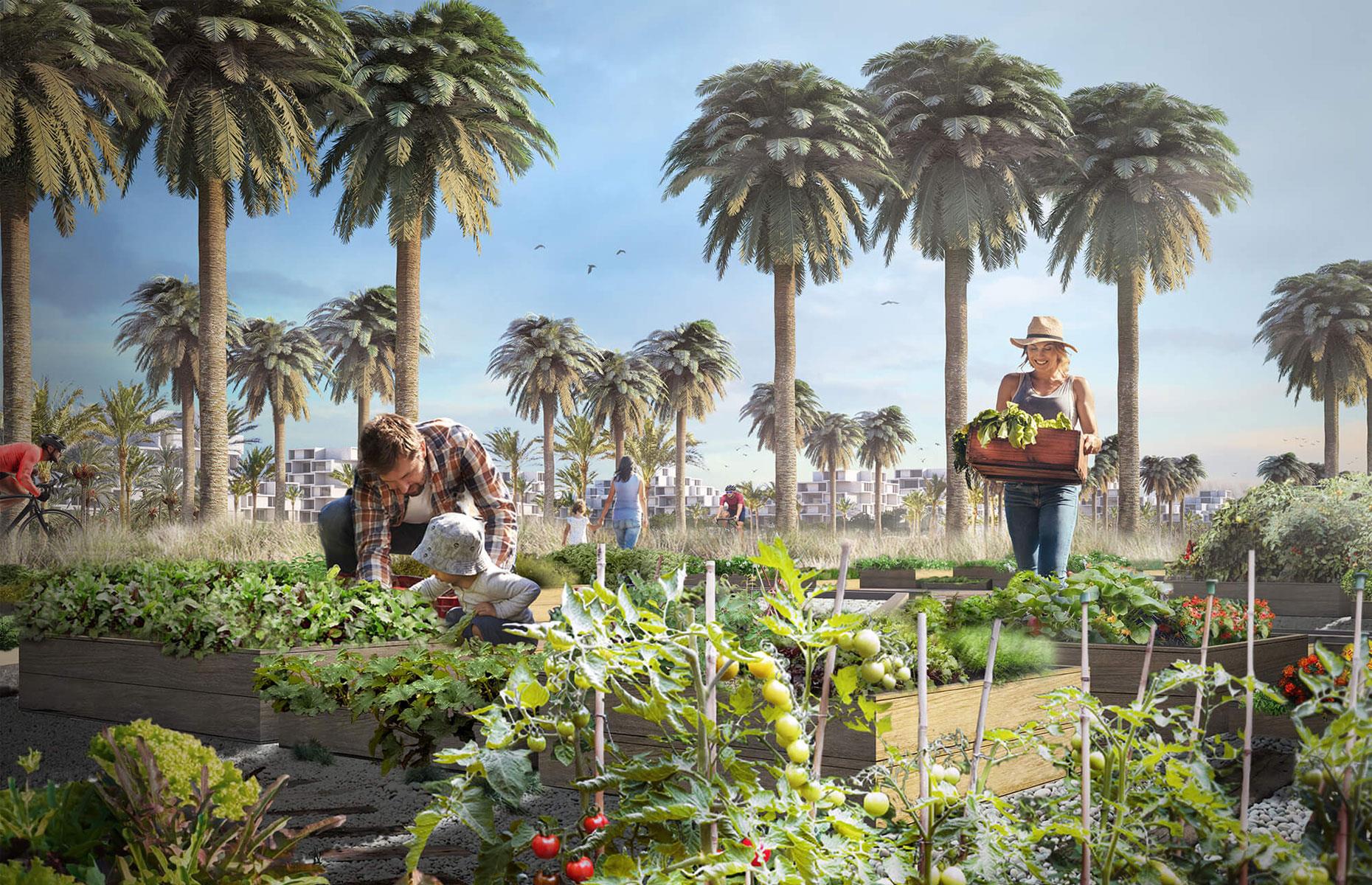 Nexgen Sustainable City, Cairo, Egypt