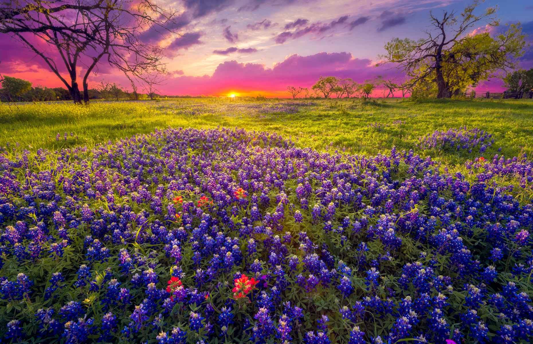 Sample rural and urban pleasures in Texas Hill Country, USA