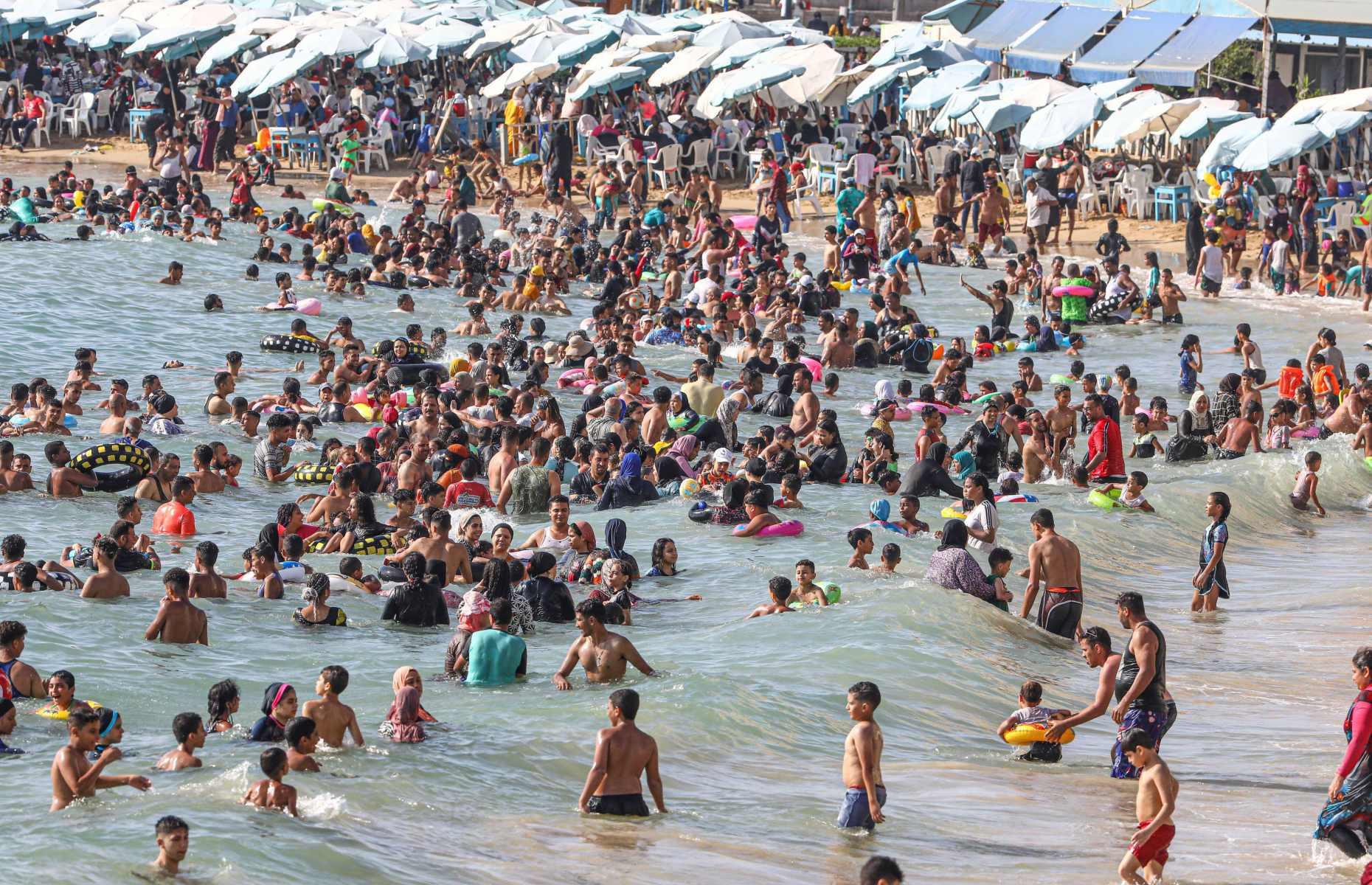 Earth’s warmest year