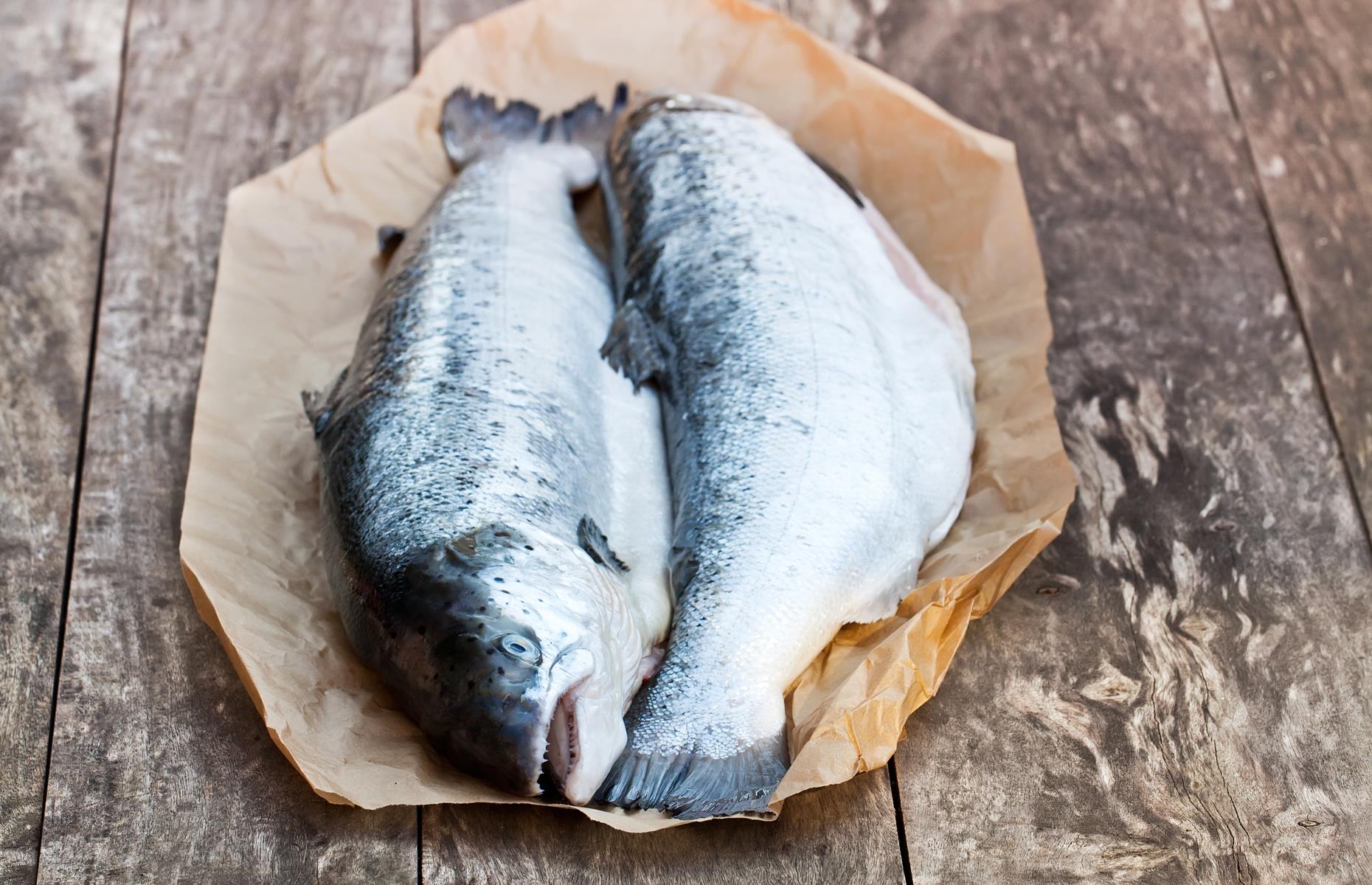 Sustainably sourced fish