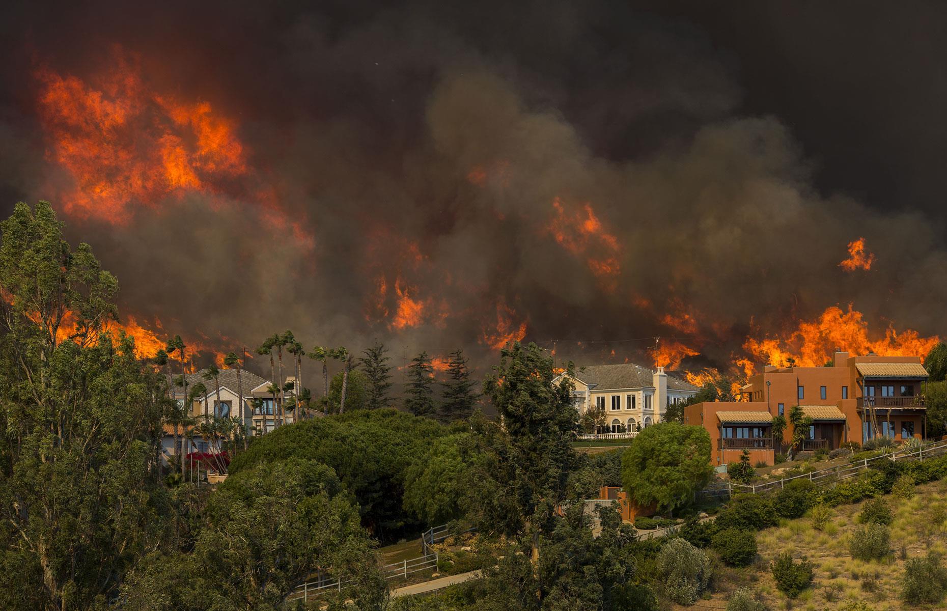 Brutal bushfires