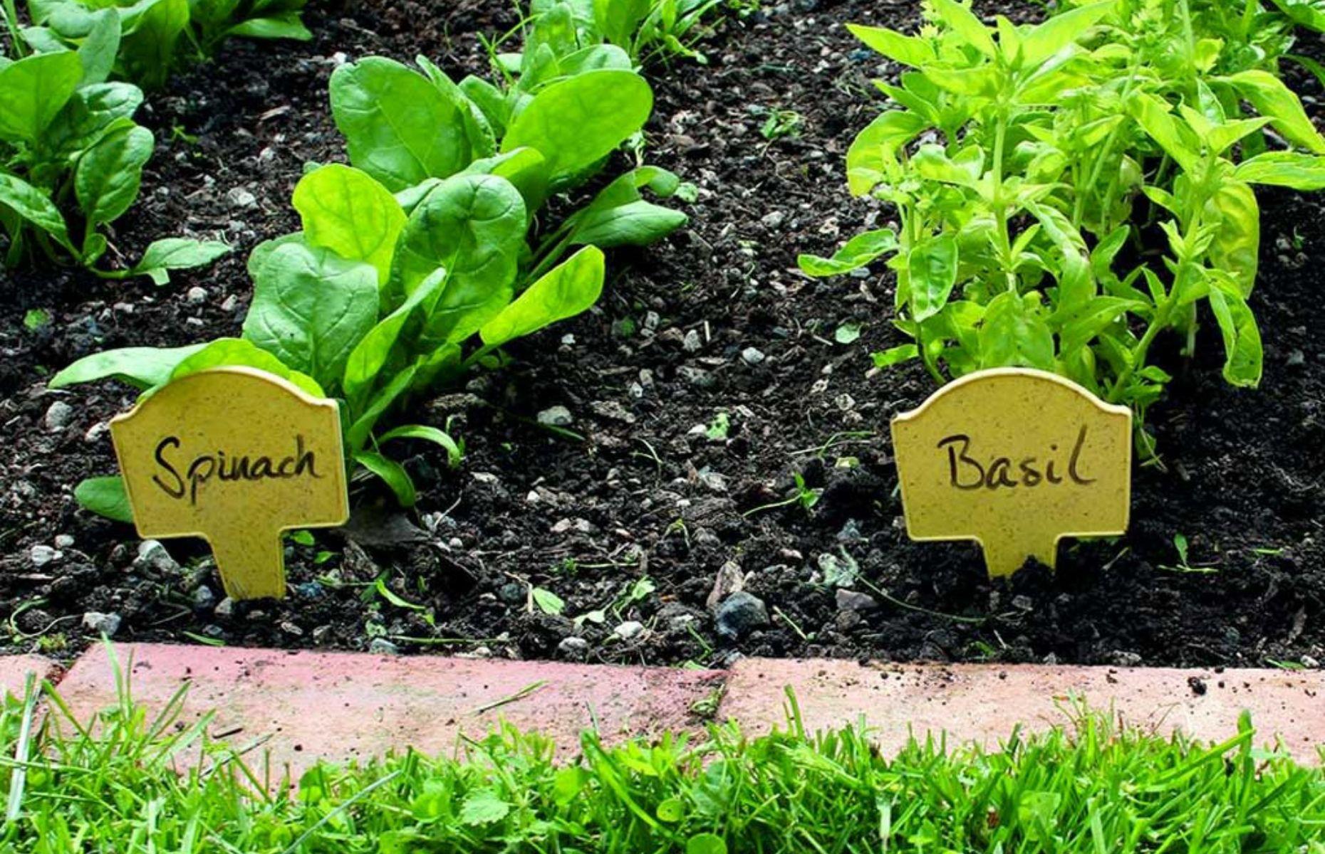 Use plant markers