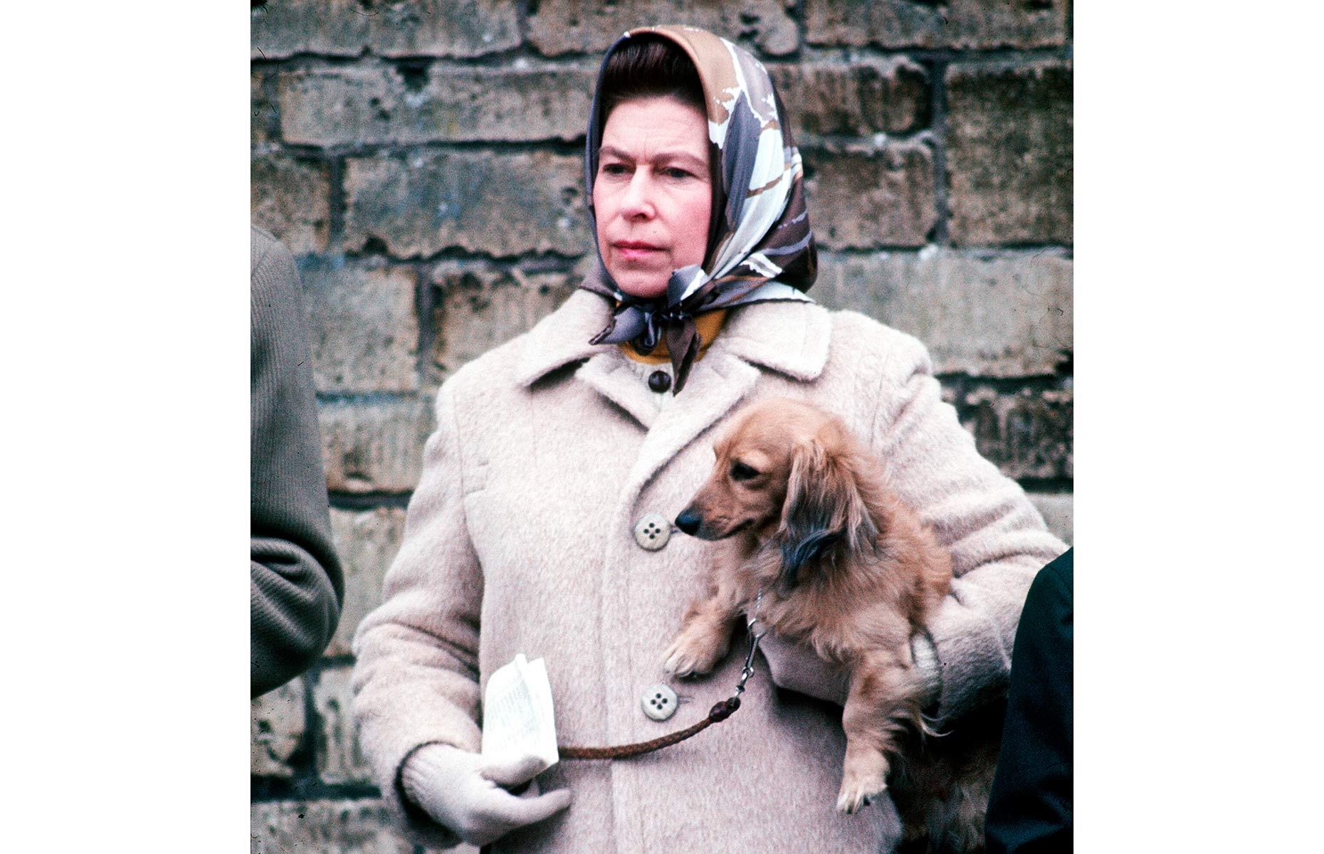 A woman and her dogs