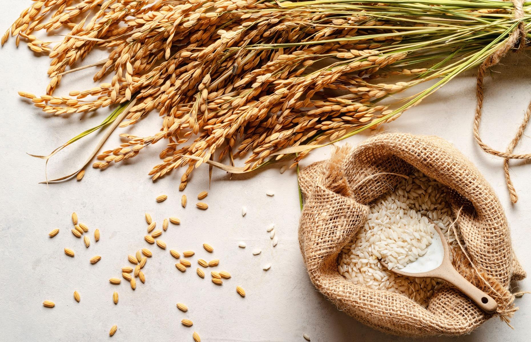 33. The macrobiotic diet