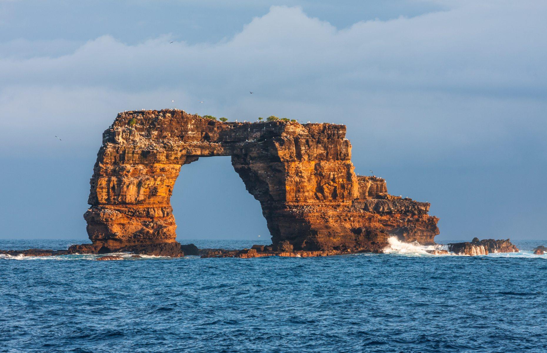Разрушение островов. Галапагосские острова арка. Остров Дарвина Галапагосы. Арка Дарвина. На Галапагосах обрушилась арка Дарвина знаменитая скала.