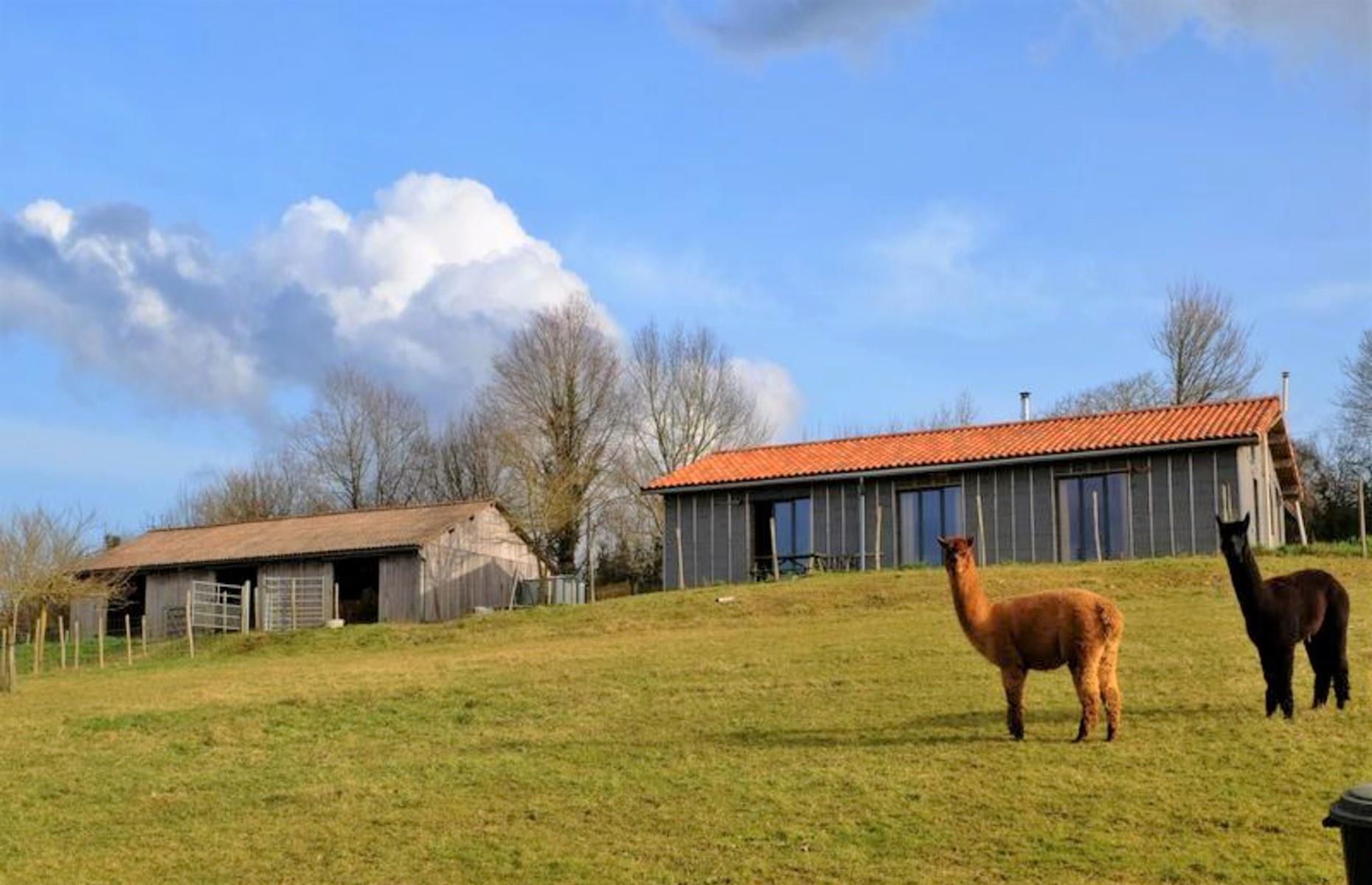 Contemporary bungalow with alpaca farm, Charente, France: £220,000 ($276k) 