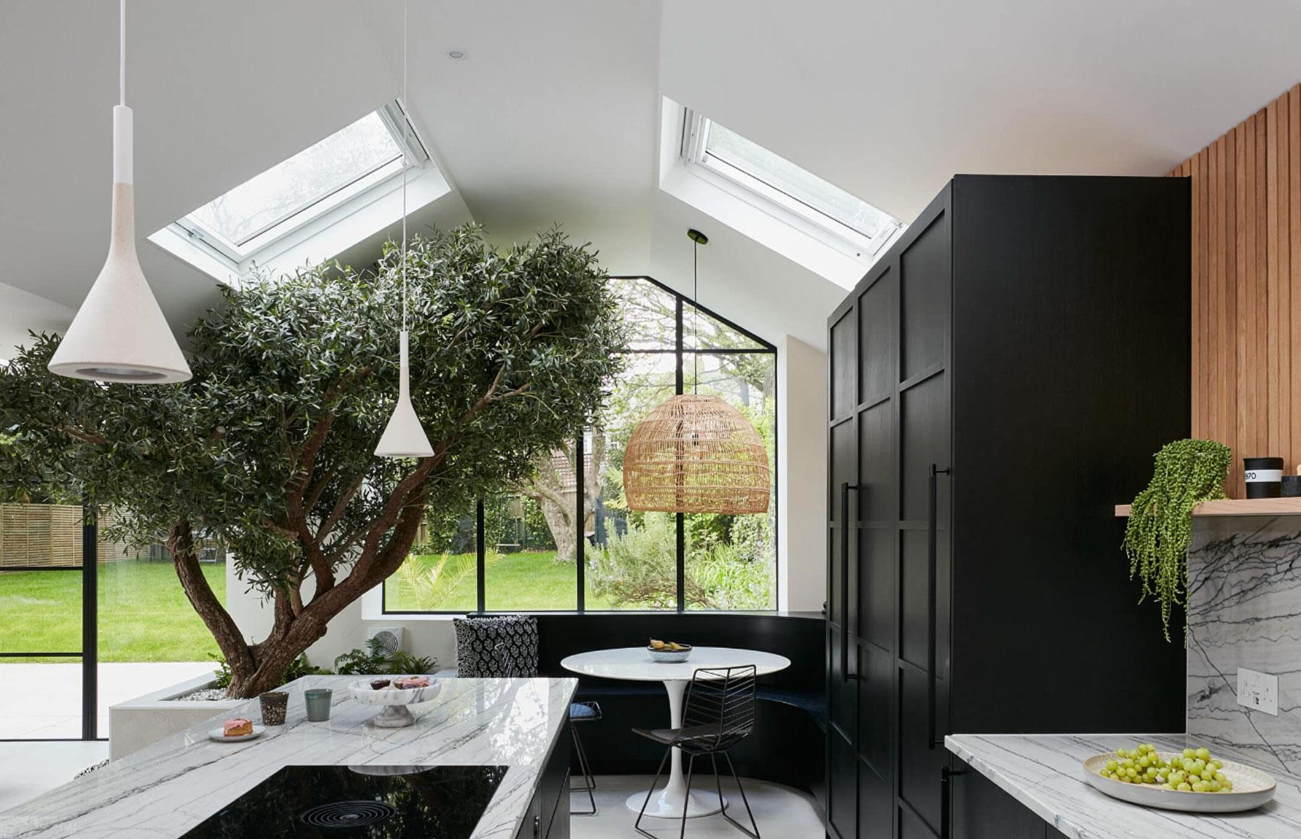 Trees in kitchens