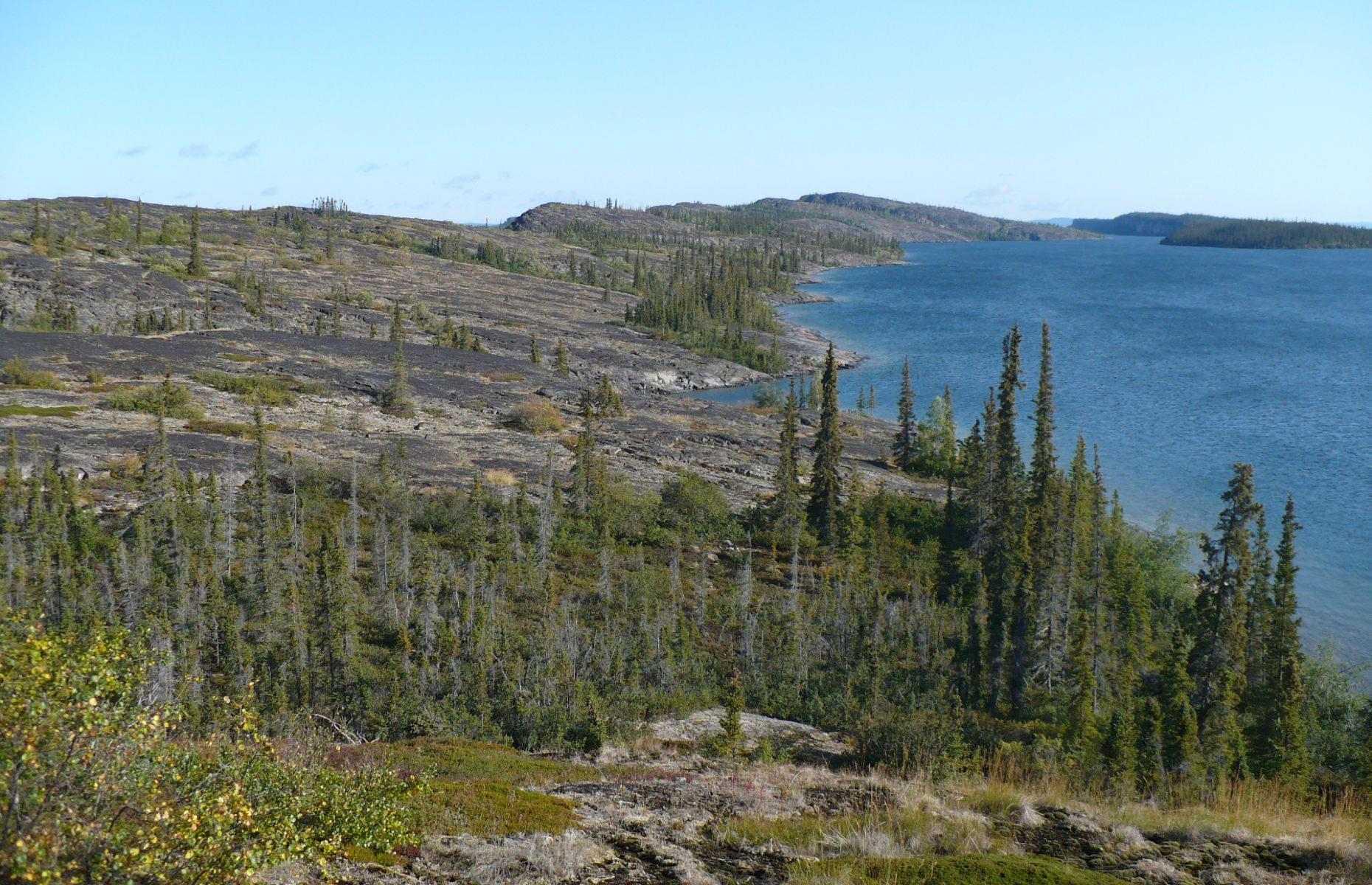 See muskoxen and more, Thaidene Nene, Northwest Territories