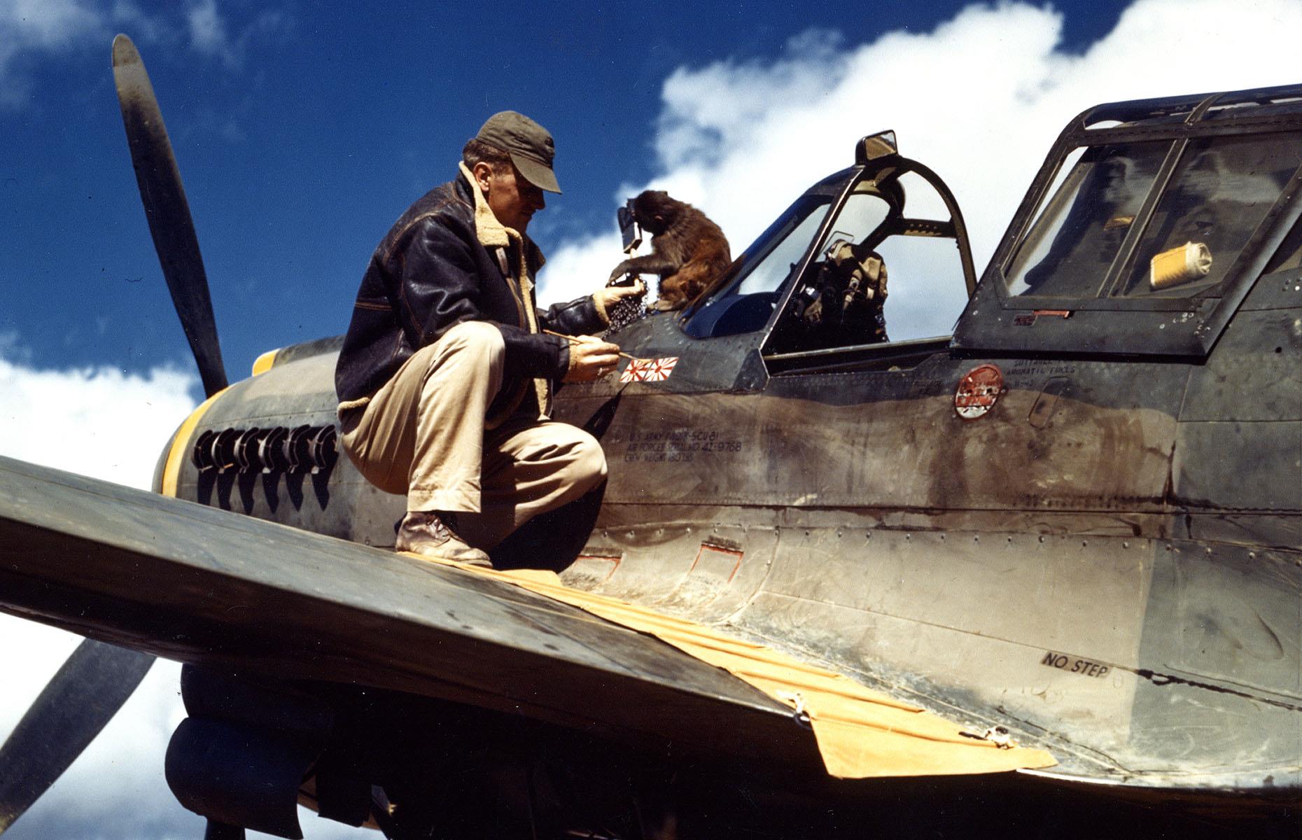 1943: a monkey assists a US airman, China 