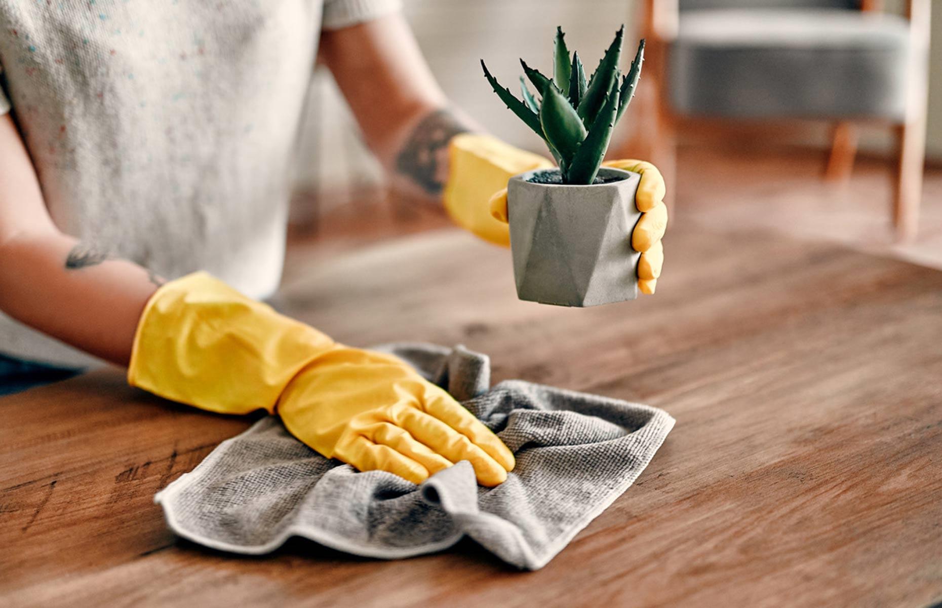 Learn to damp-dust
