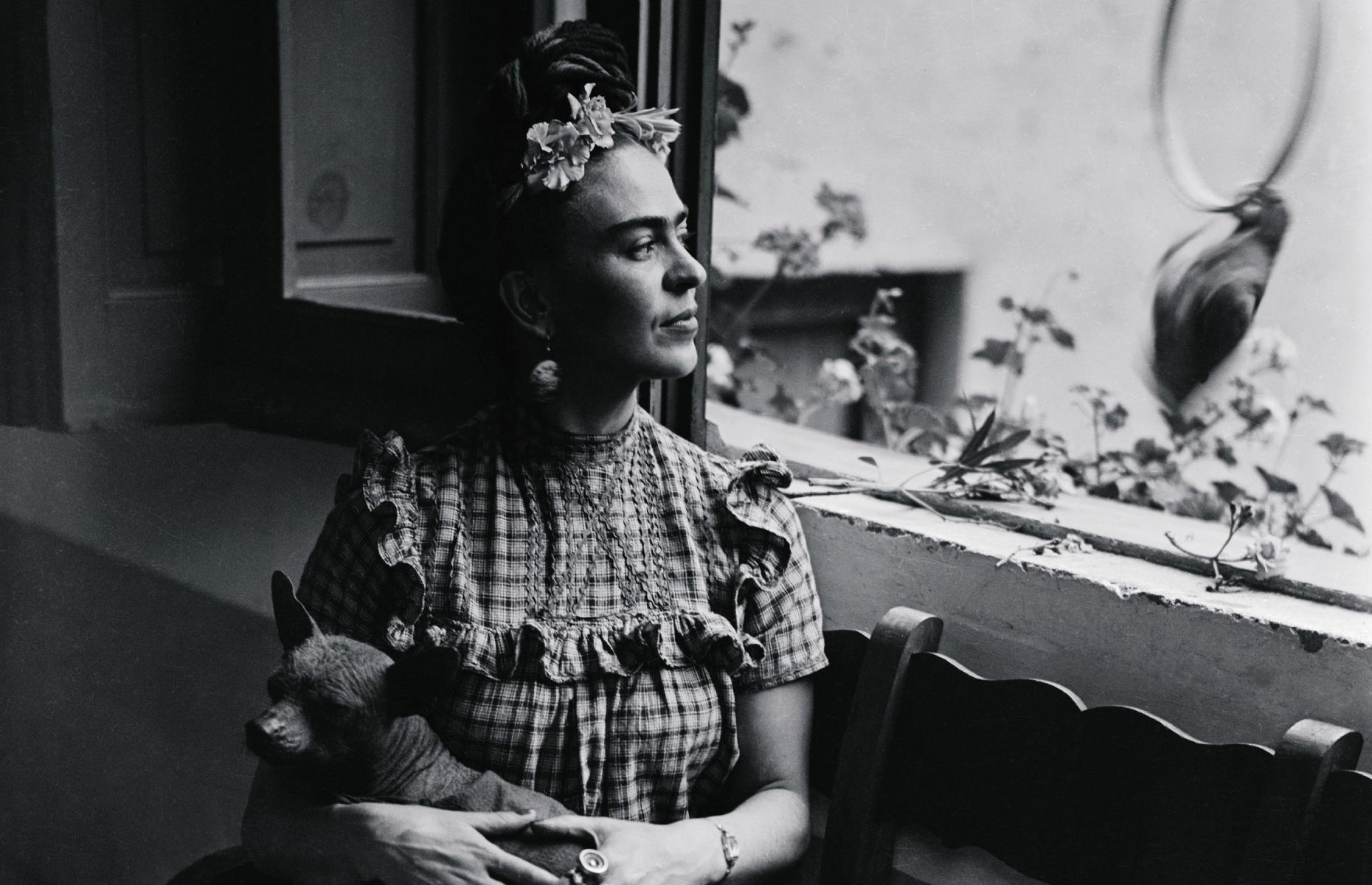La maison bleue de Frida Kahlo, Mexico, Mexique
