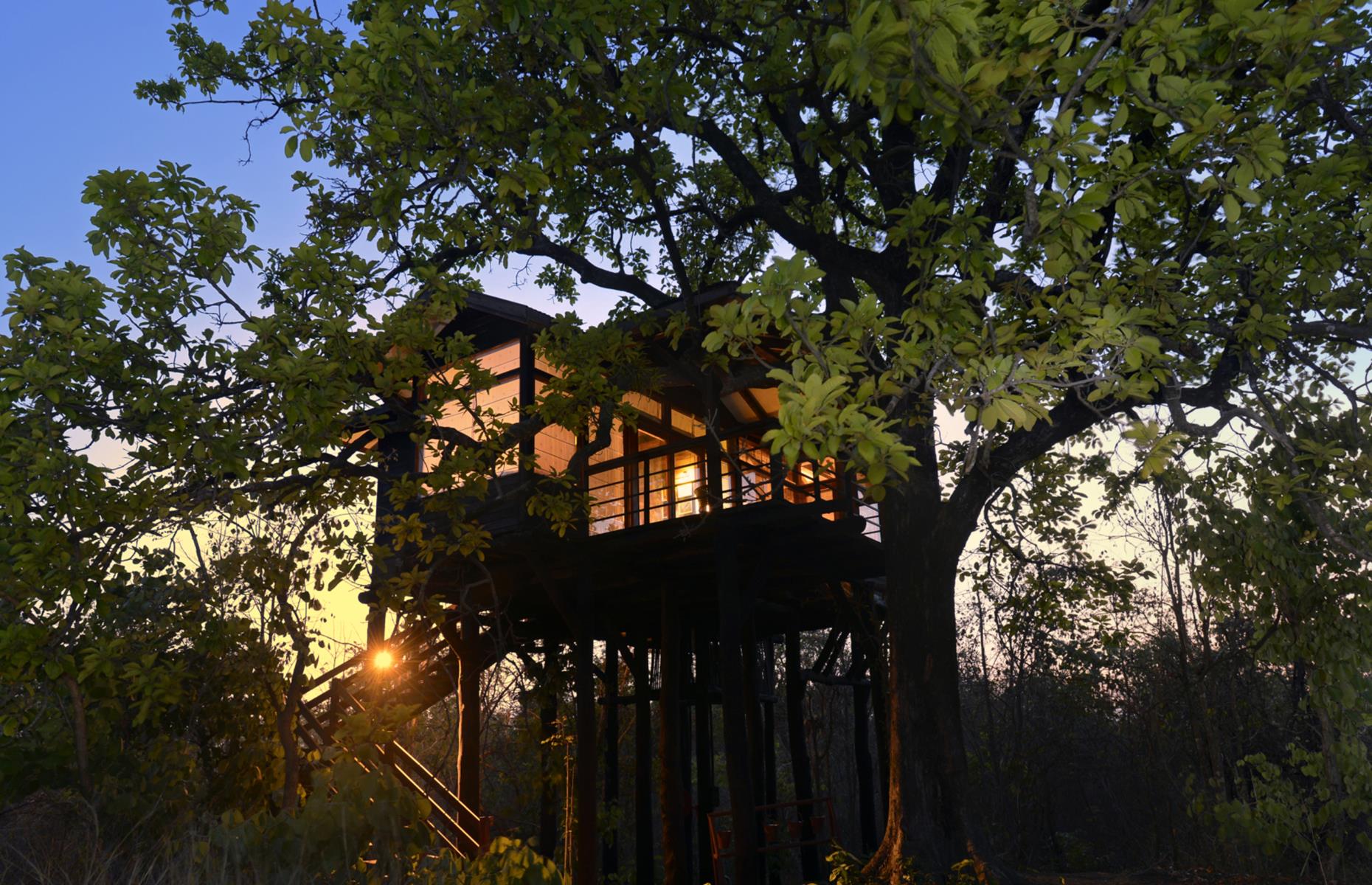 Pench Tree Lodge, India