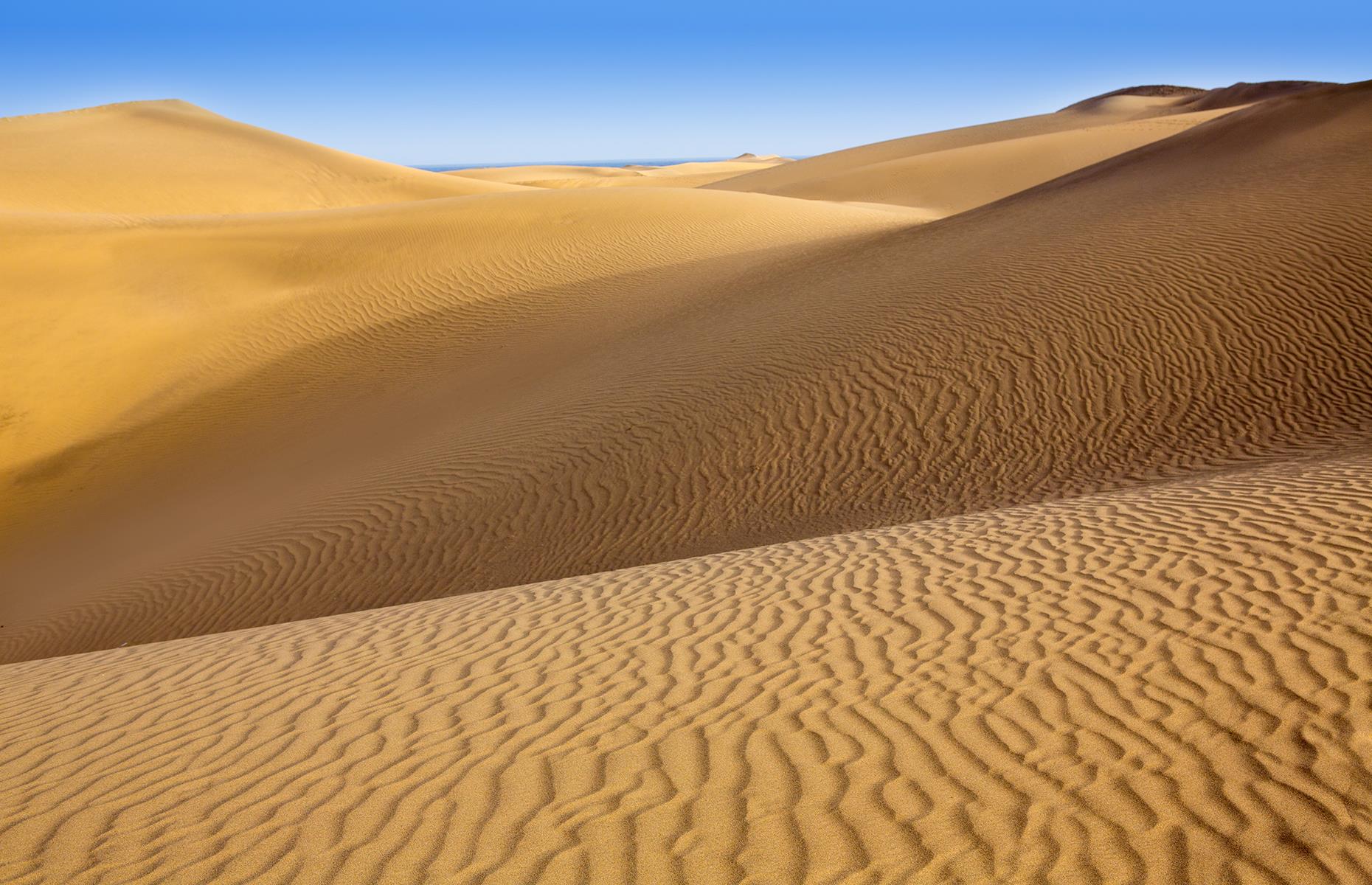 Maspalomas Dunes recover in Gran Canaria, Spain