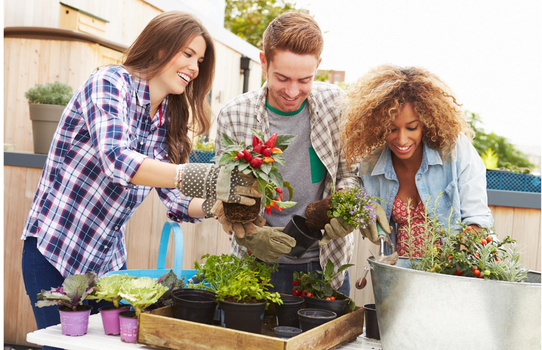 Ask green-fingered friends for advice