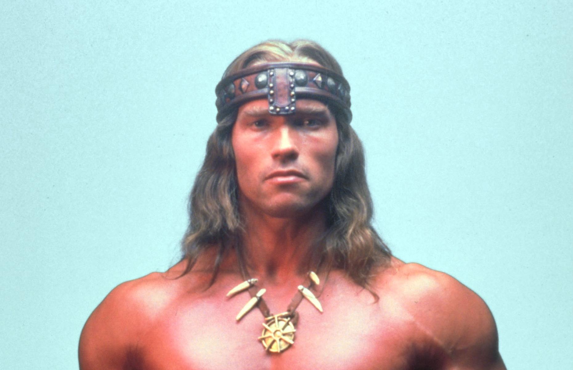 Arnold Schwarzenegger, der Schauspieler