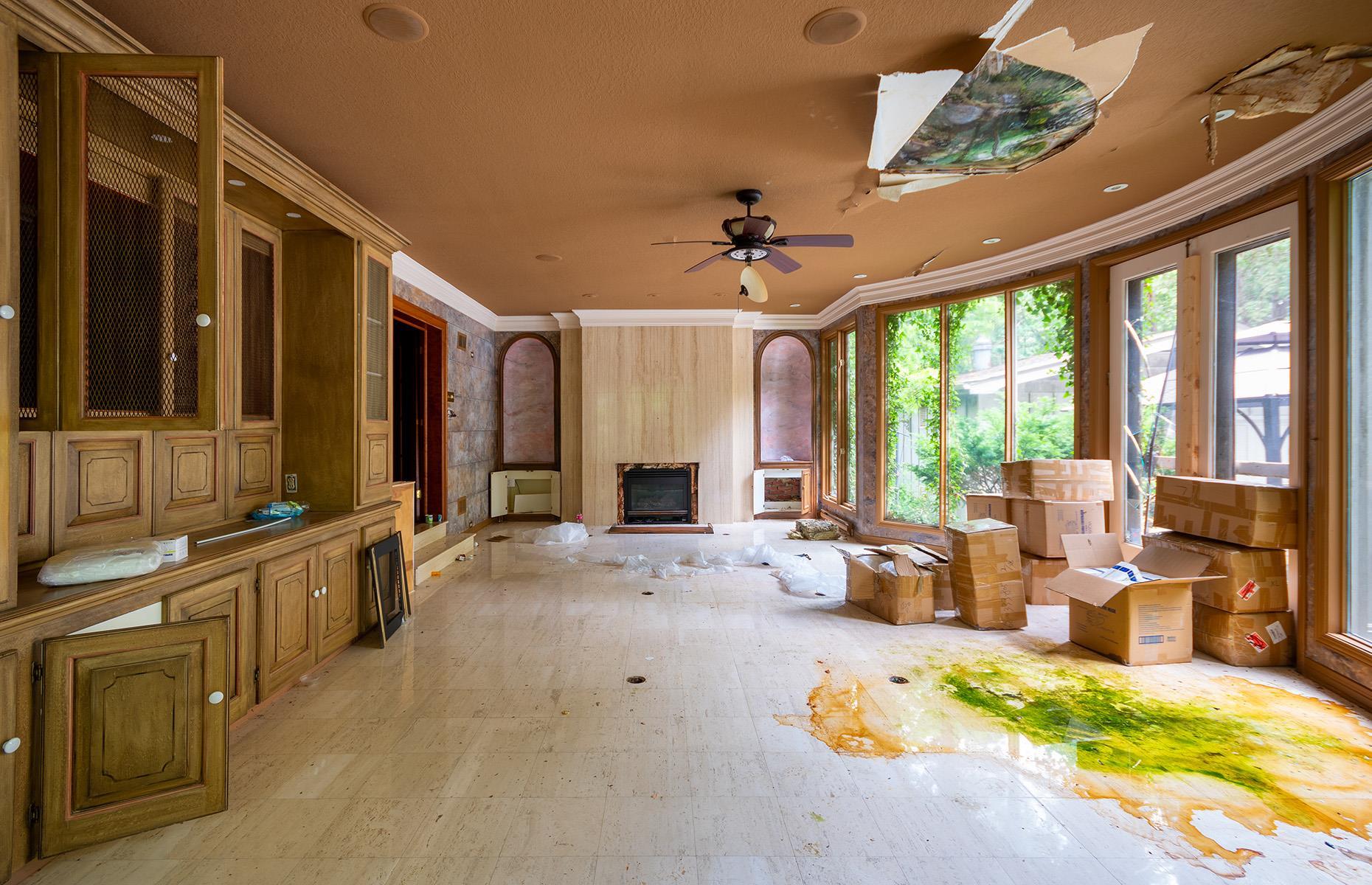 Crypto millionaire's lost mansion: lavish design