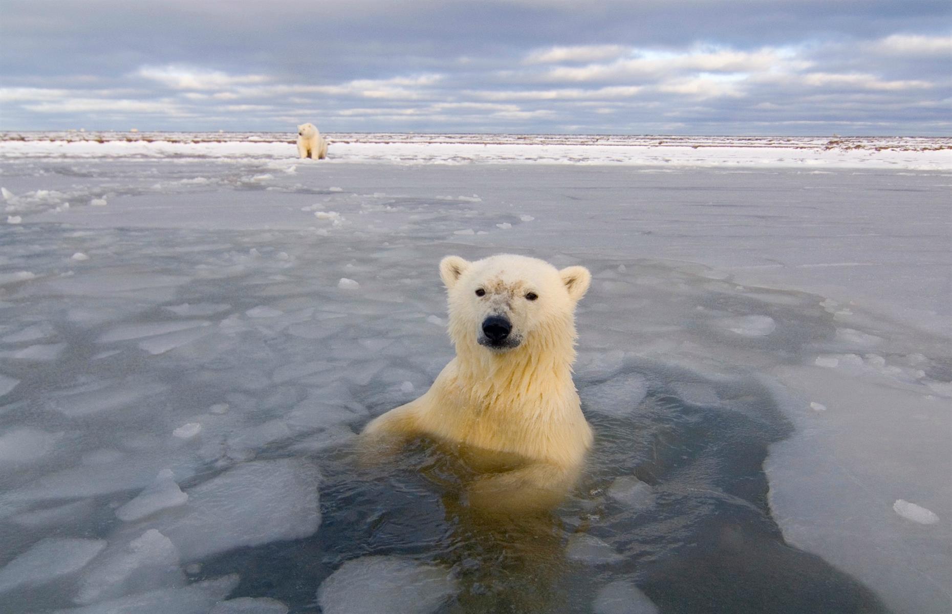 Ellesmere Island, Nunavut
