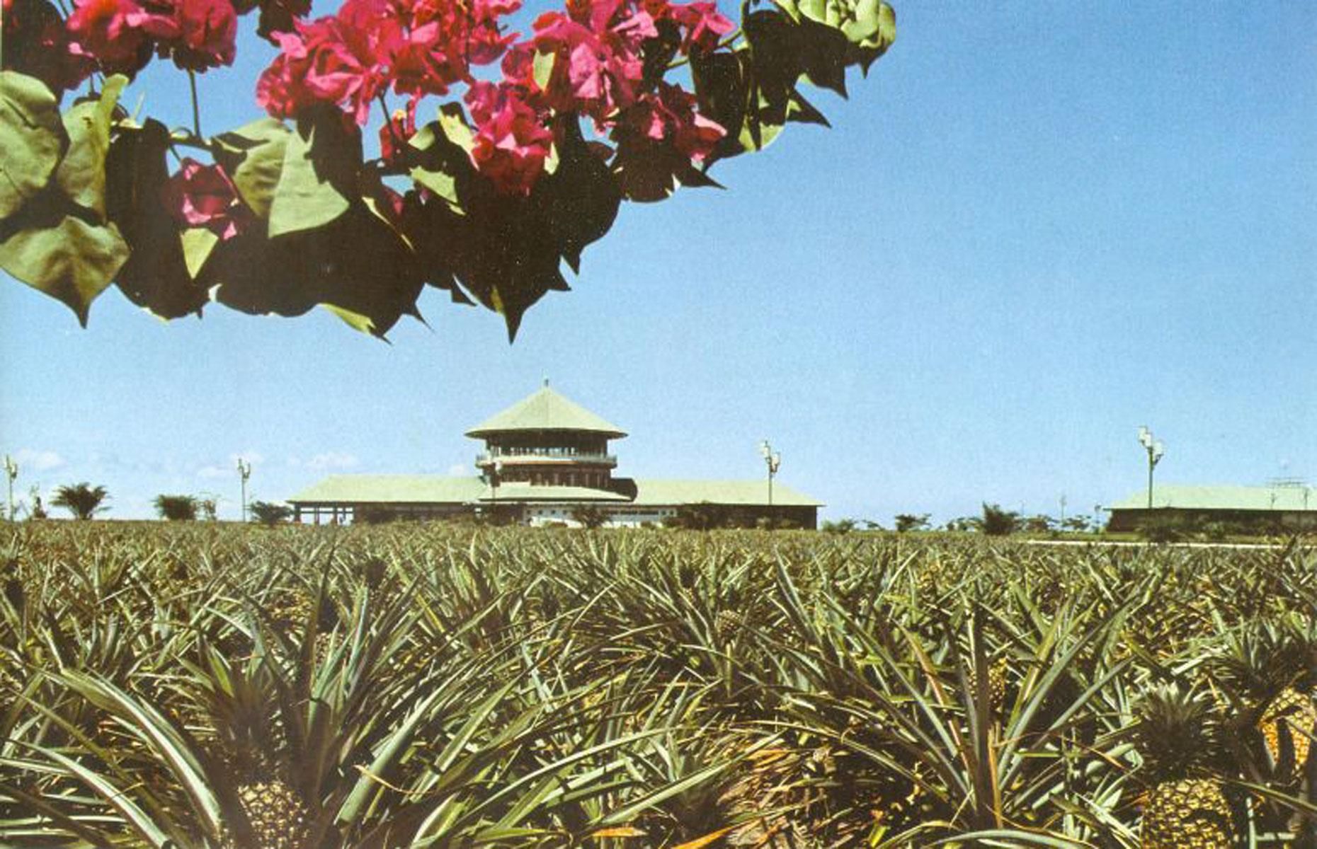 Bamboo Palace, Gbadolite, Demokratische Republik Kongo