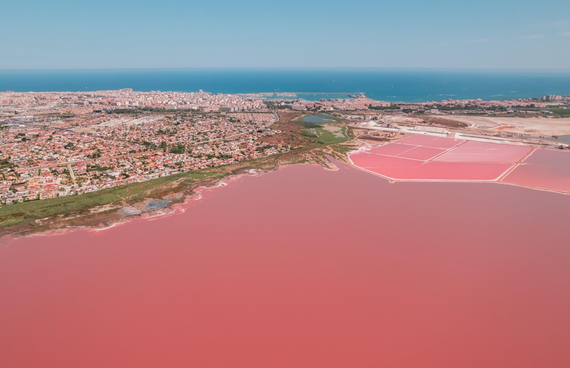 The Pink Lake of Torrevieja, Alicante, Spain