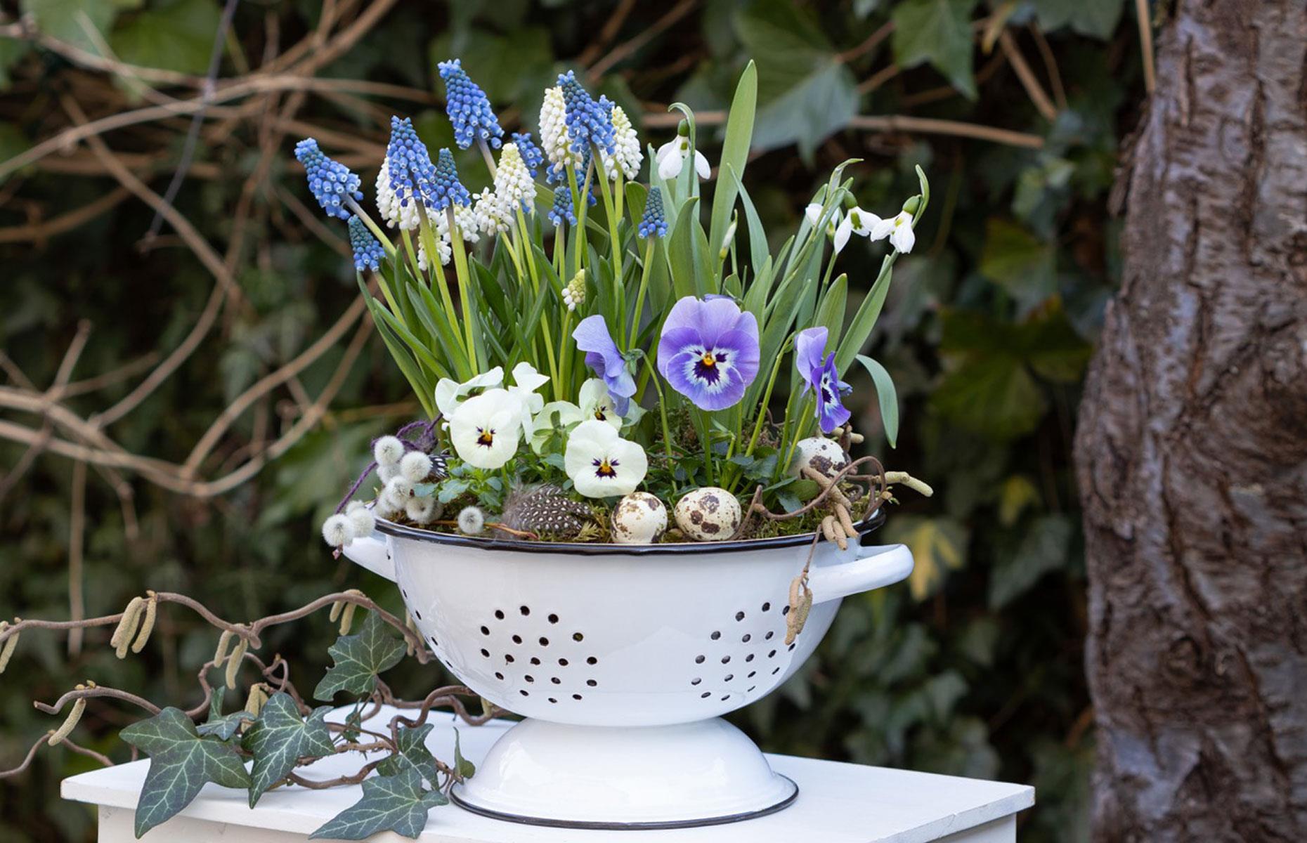 Grow in a colander