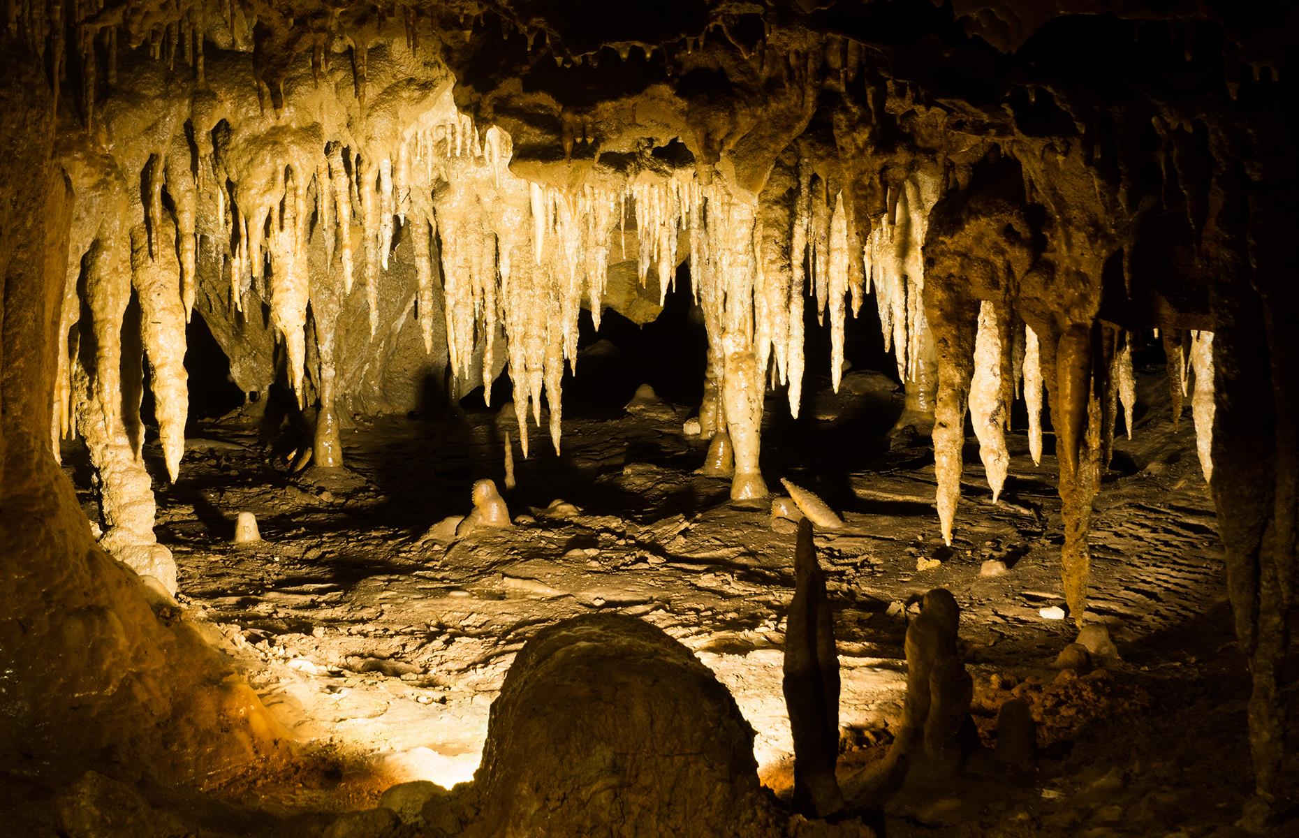 19: Florida Caverns State Park, Marianna 
