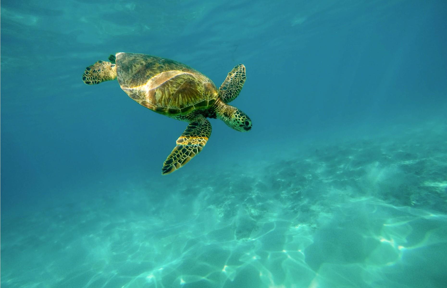 Galápagos Islands