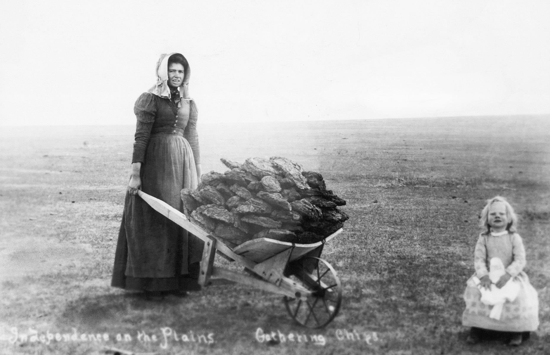 Recogida de astillas de búfalo, Kansas, 1893
