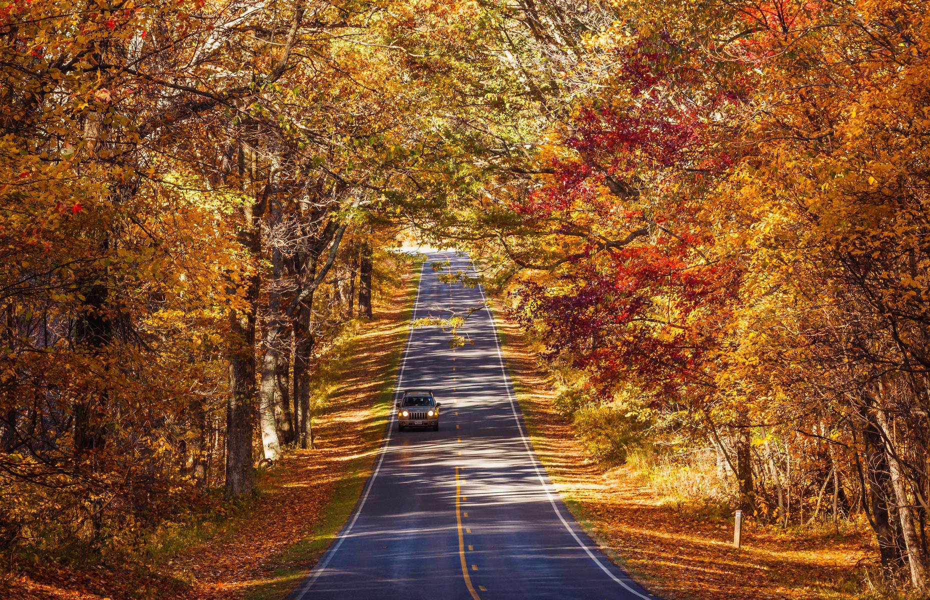 Shenandoah National Park, Virginia 