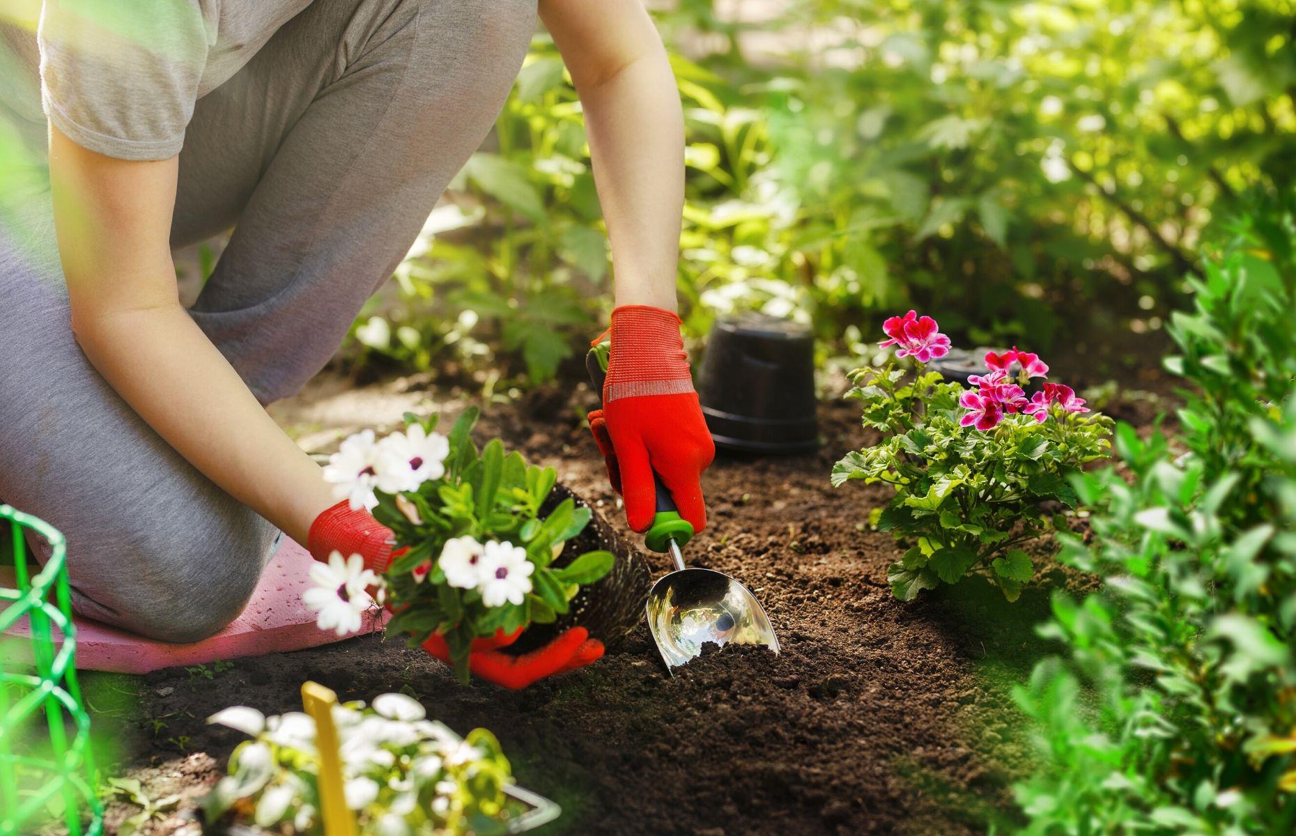 Give your plants some space