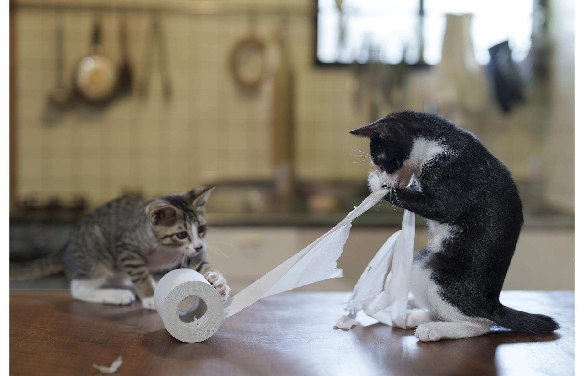 Hard workers
