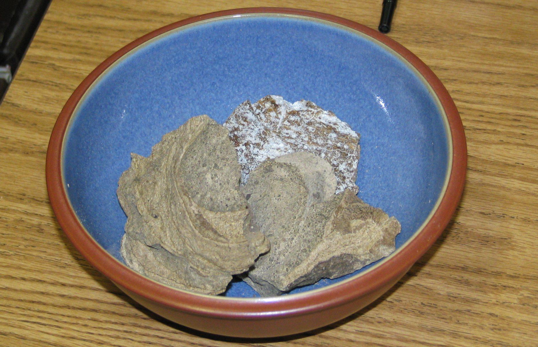 People used to eat whale faecal matter