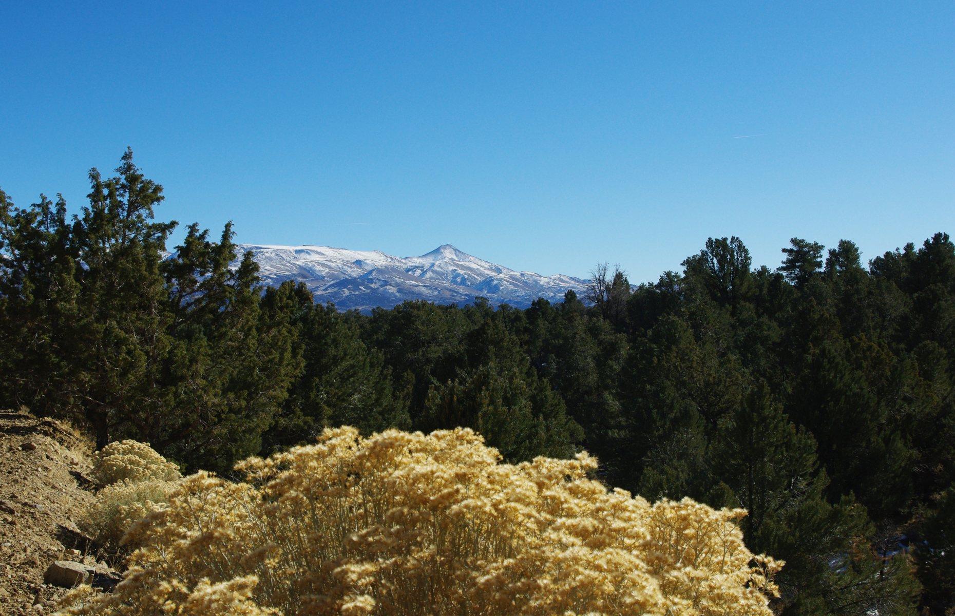 26. Humboldt-Toiyabe National Forest, Nevada and California