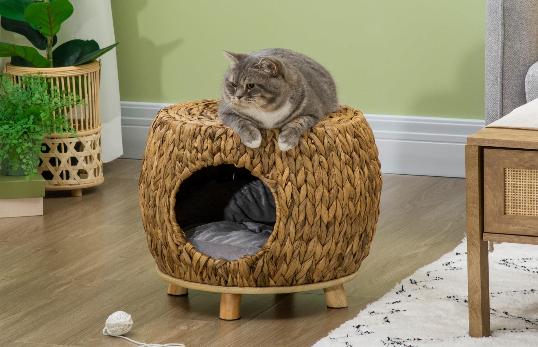 Get space-efficient with your pets