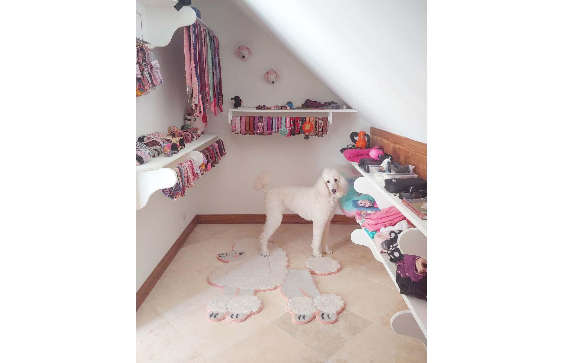 Adorable walk-in wardrobe for dogs