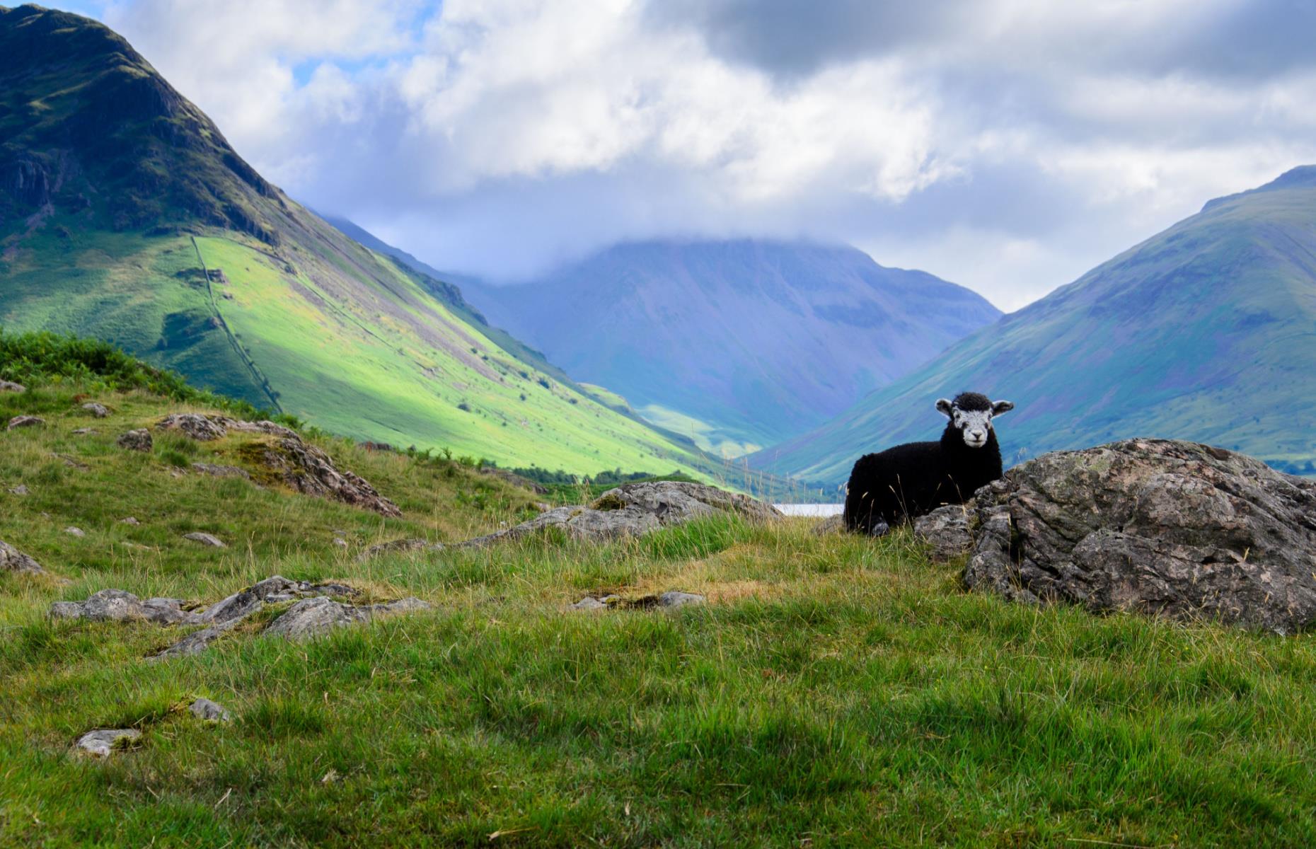 English nursery rhymes aren't just children's stories
