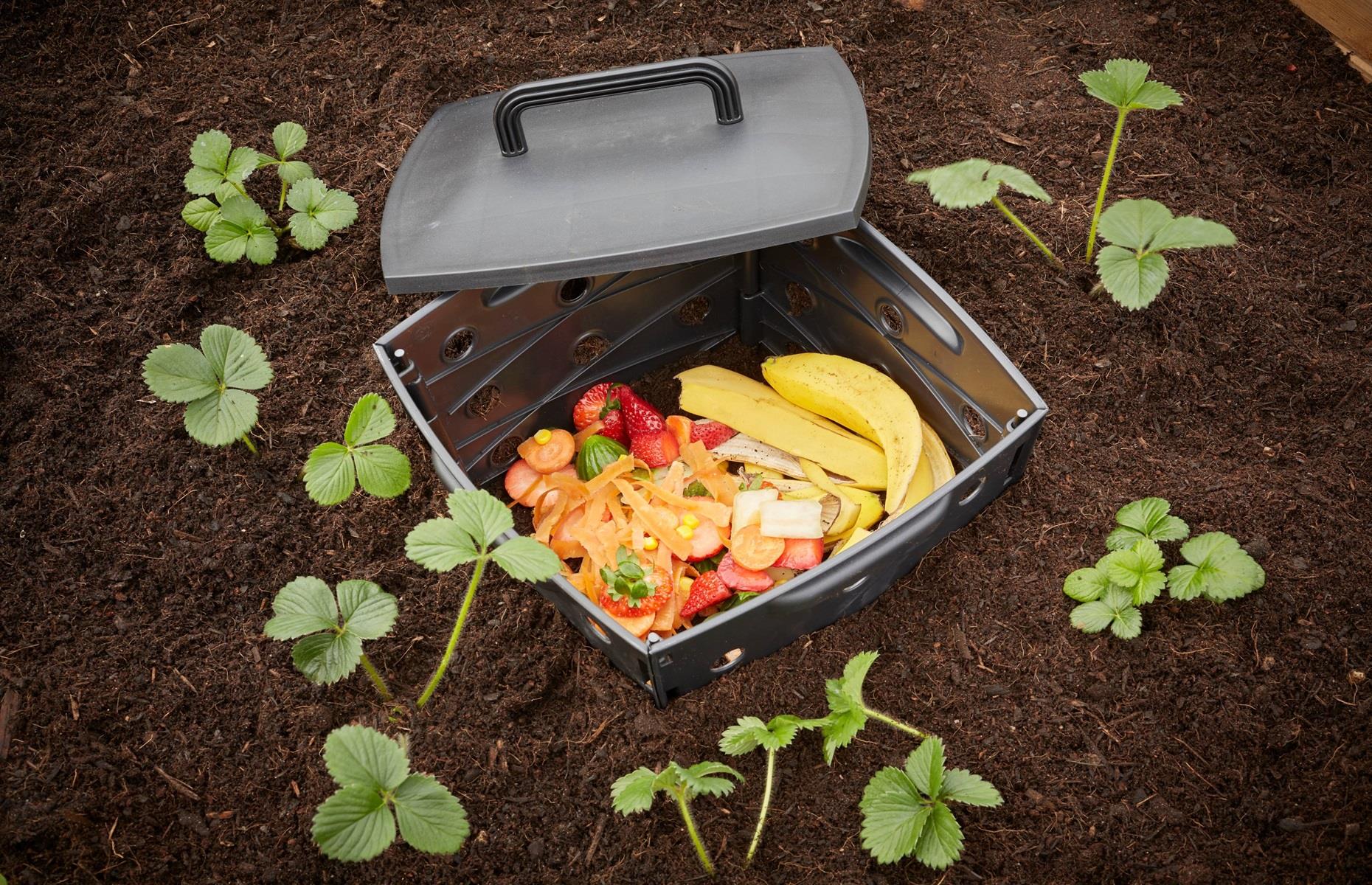 Imbed your compost bin