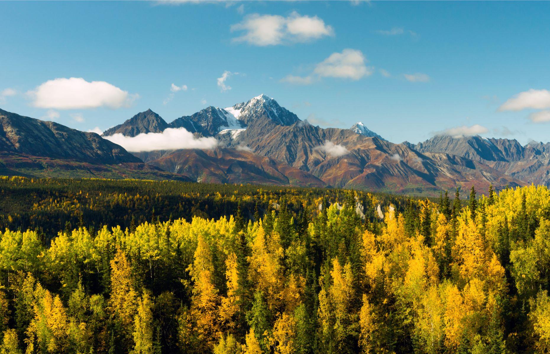 2. Chugach National Forest, Alaska