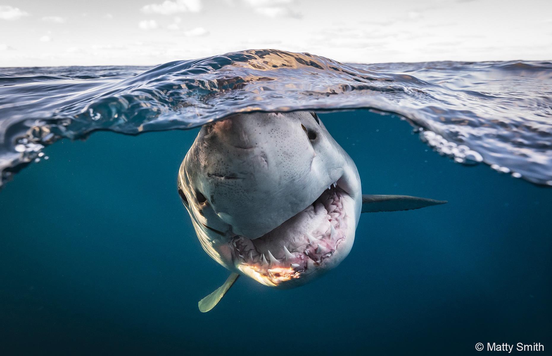 Head On by Matty Smith